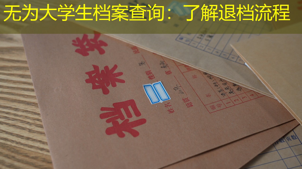档案查询