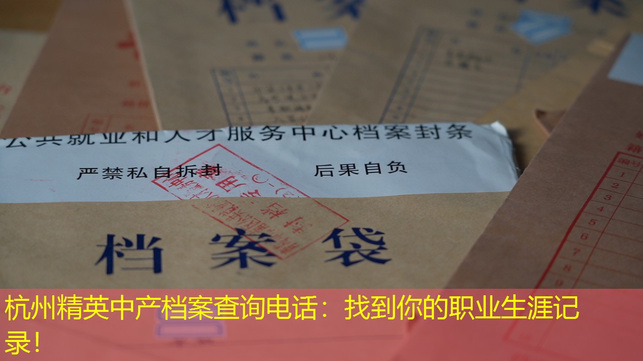 档案查询