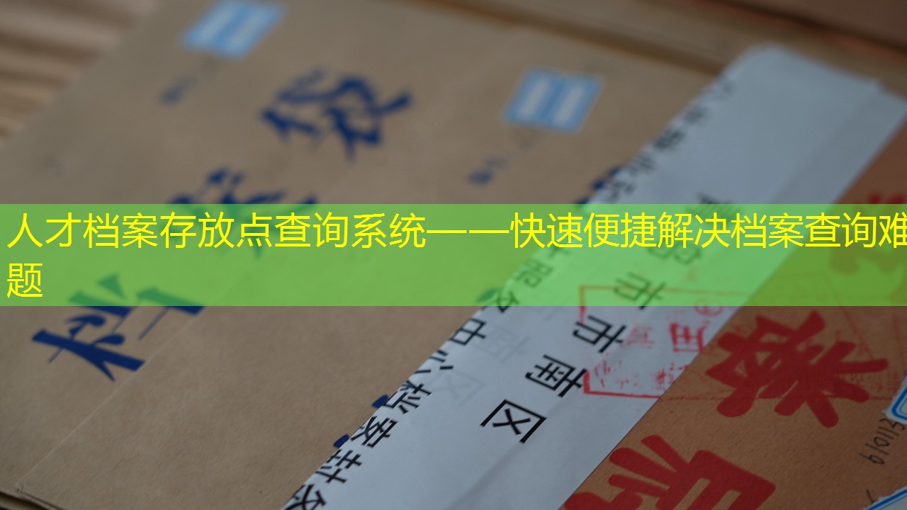 档案查询