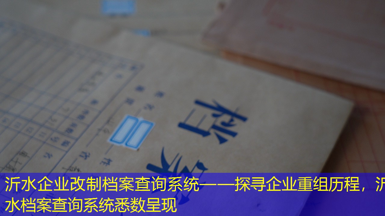 档案查询