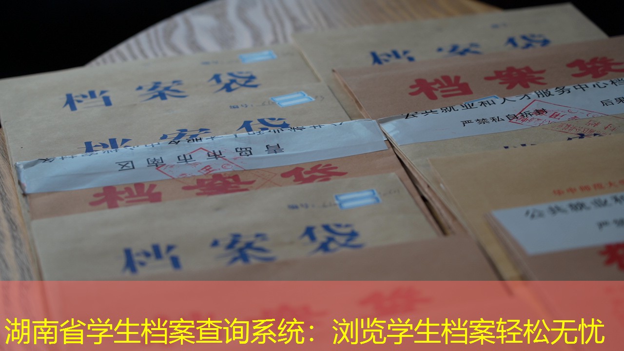 档案查询