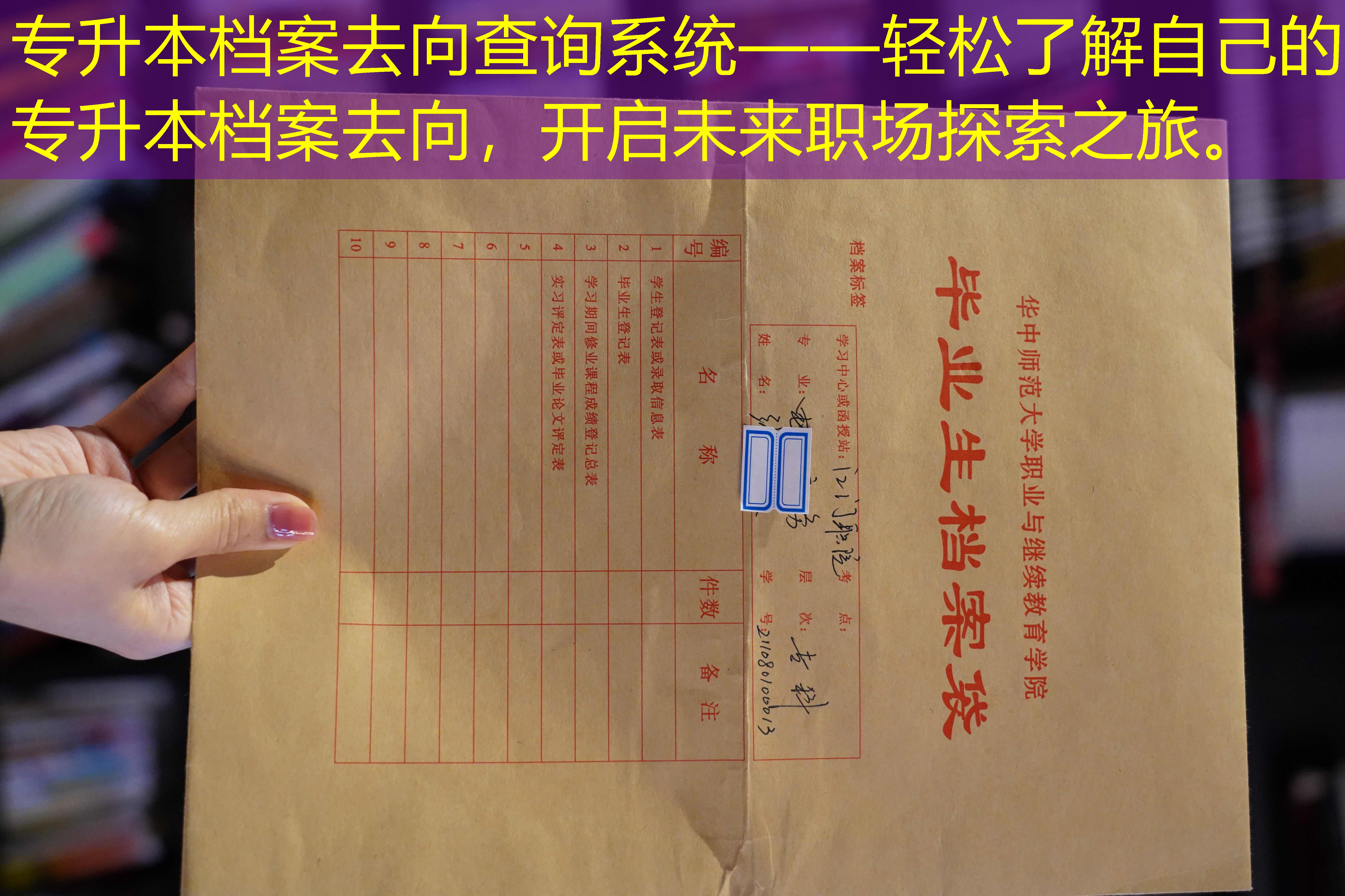 档案查询