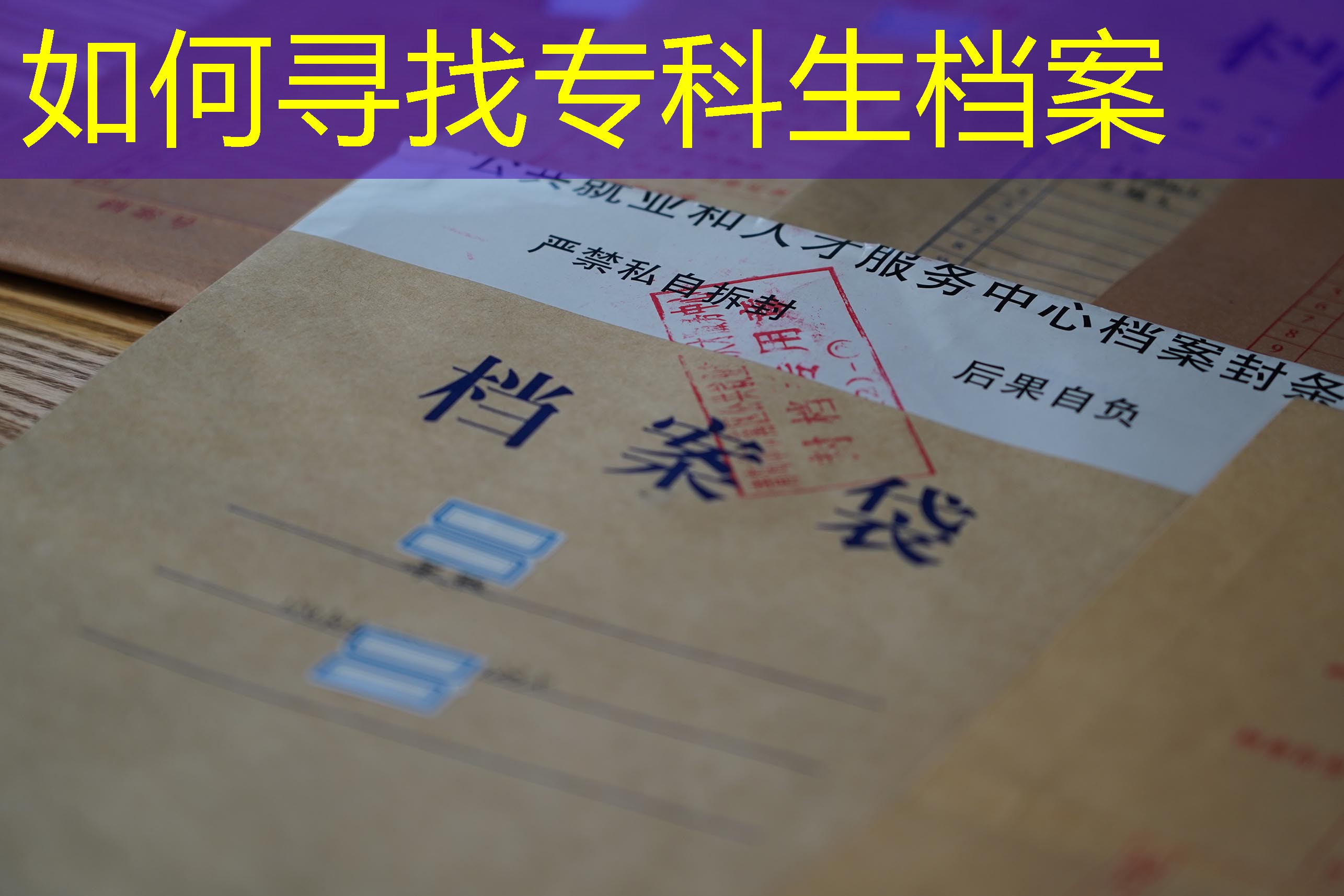 档案查询