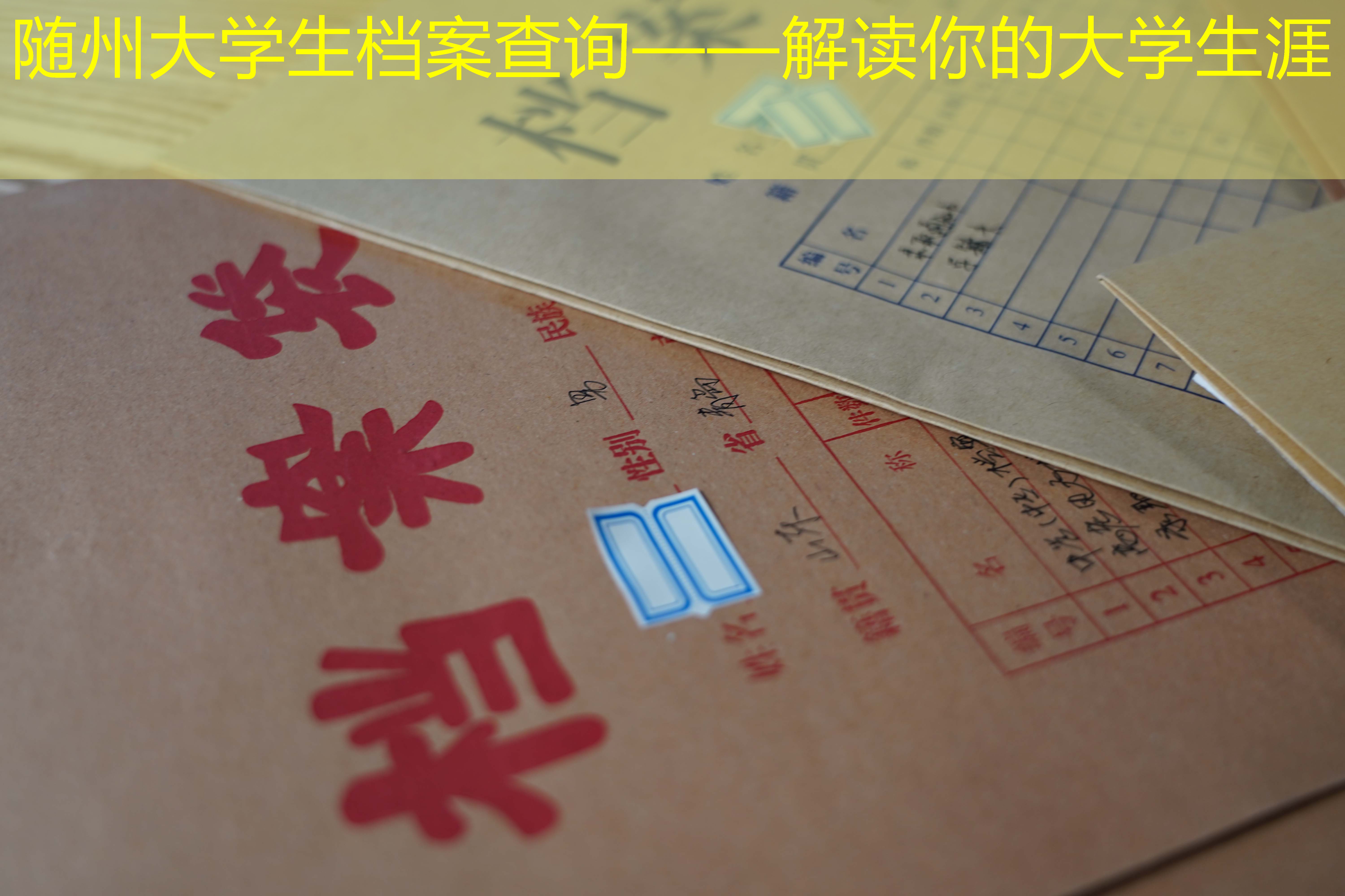 档案查询