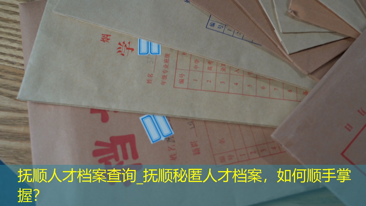 档案查询