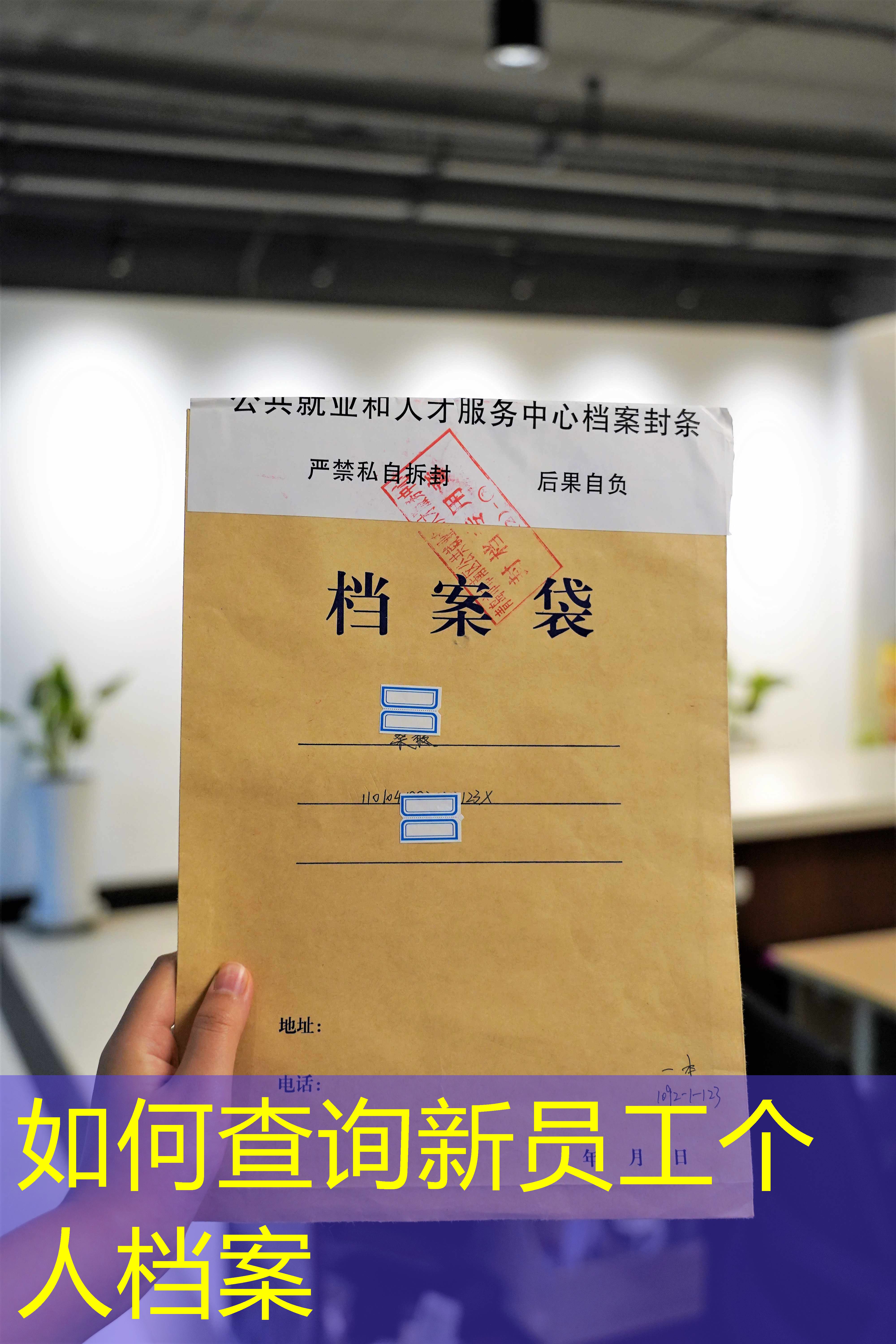 档案查询