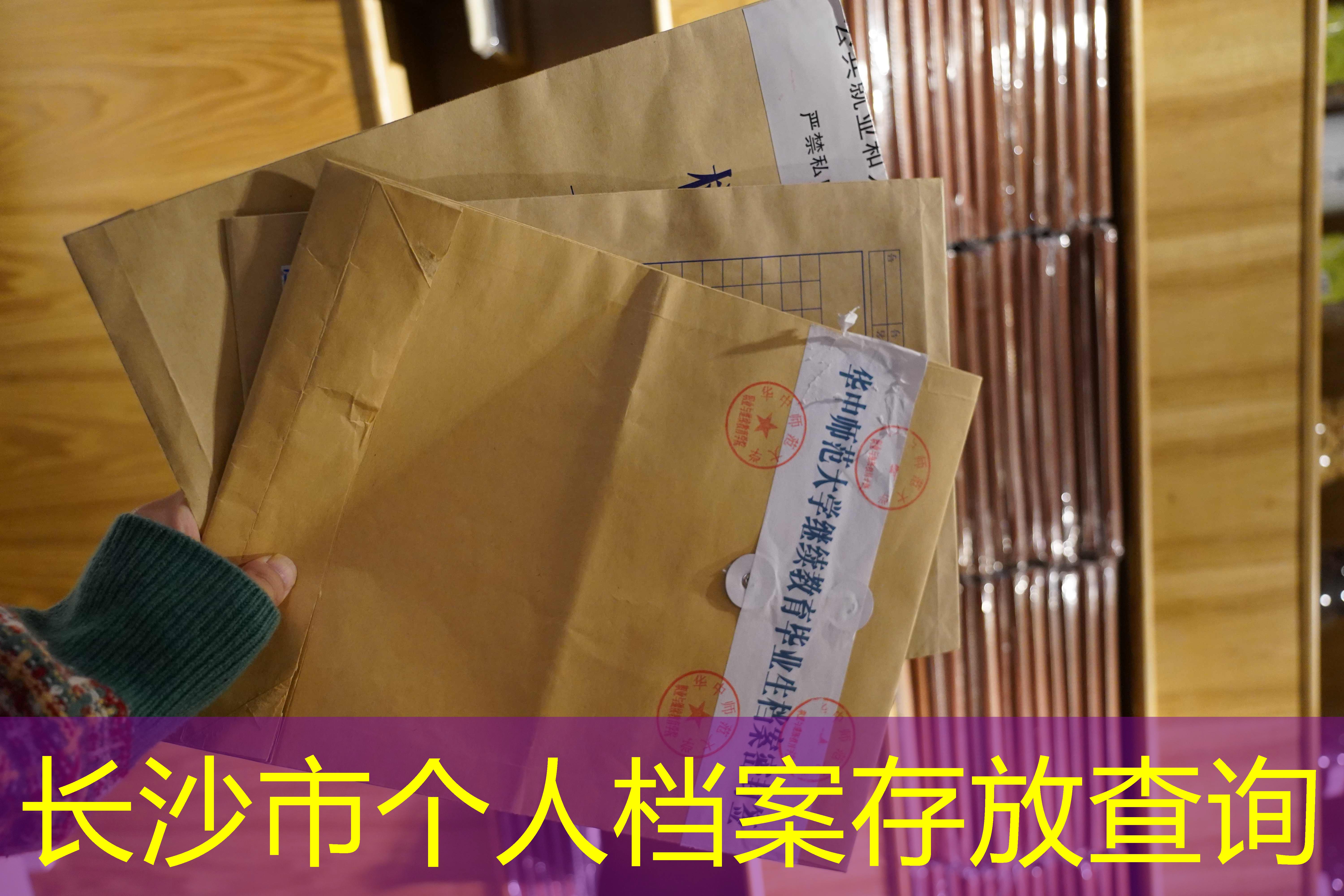 档案查询