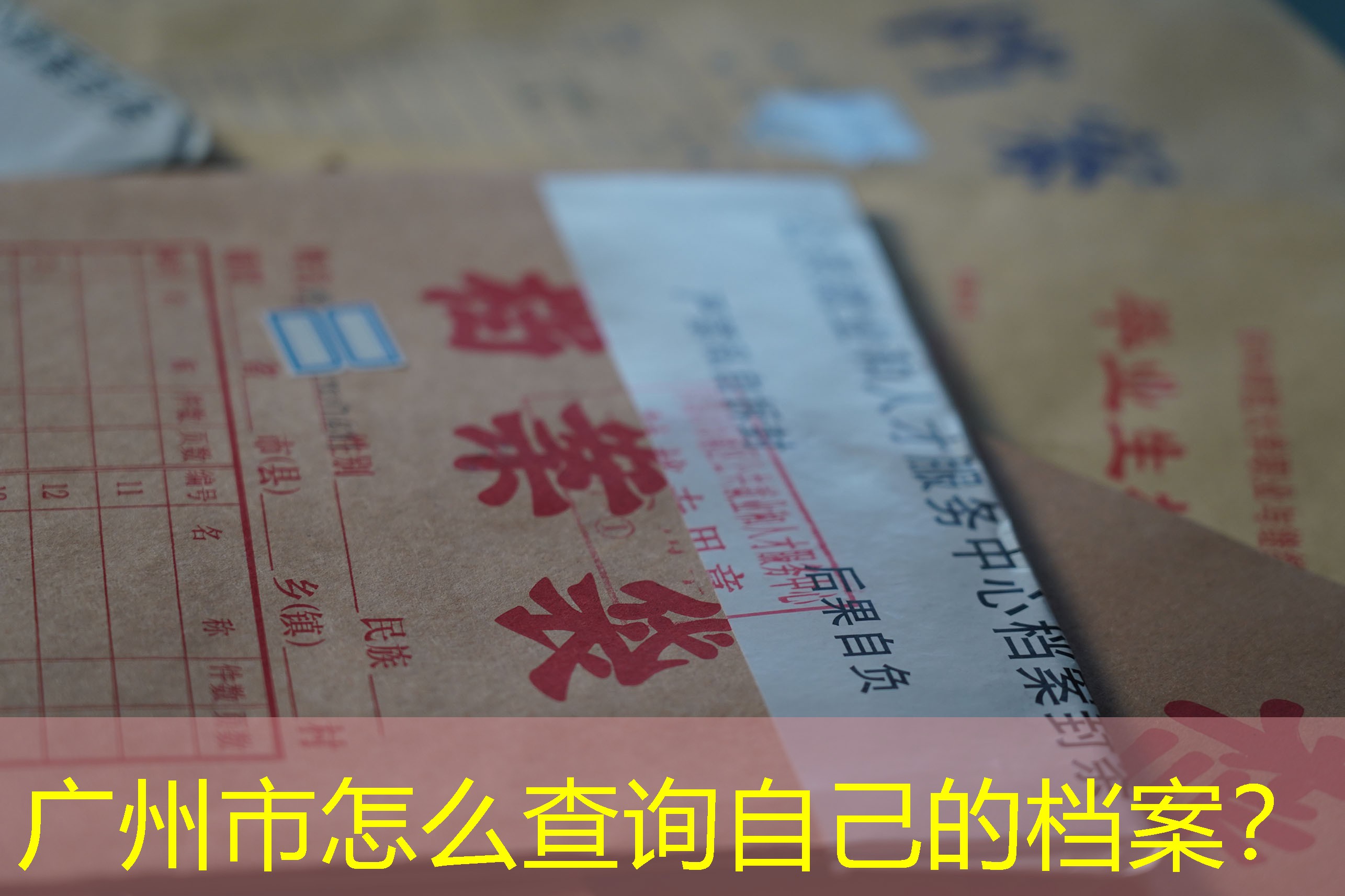 档案查询