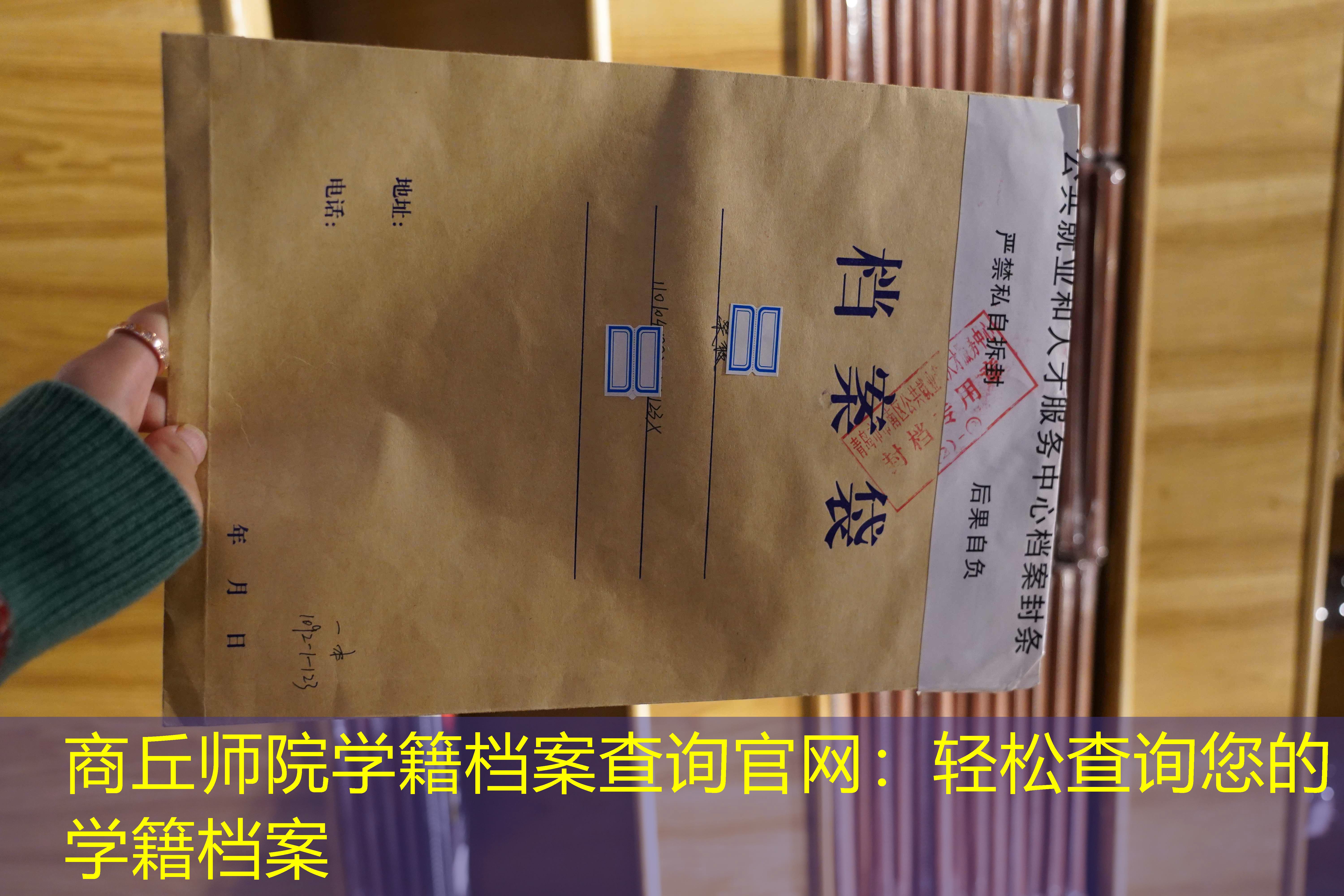 档案查询