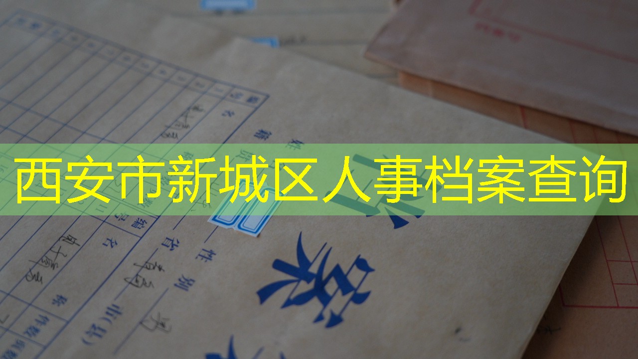 档案查询