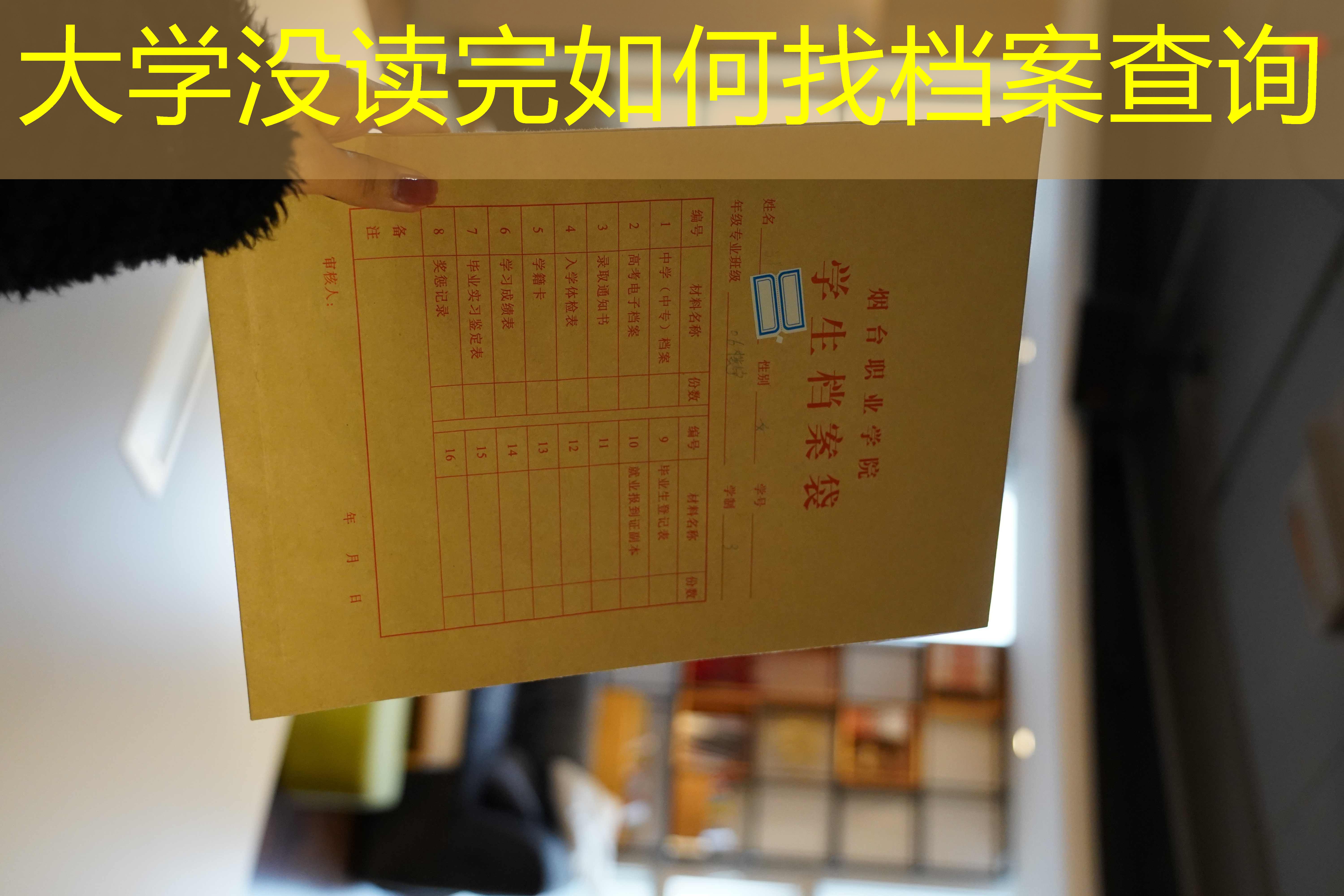 档案查询