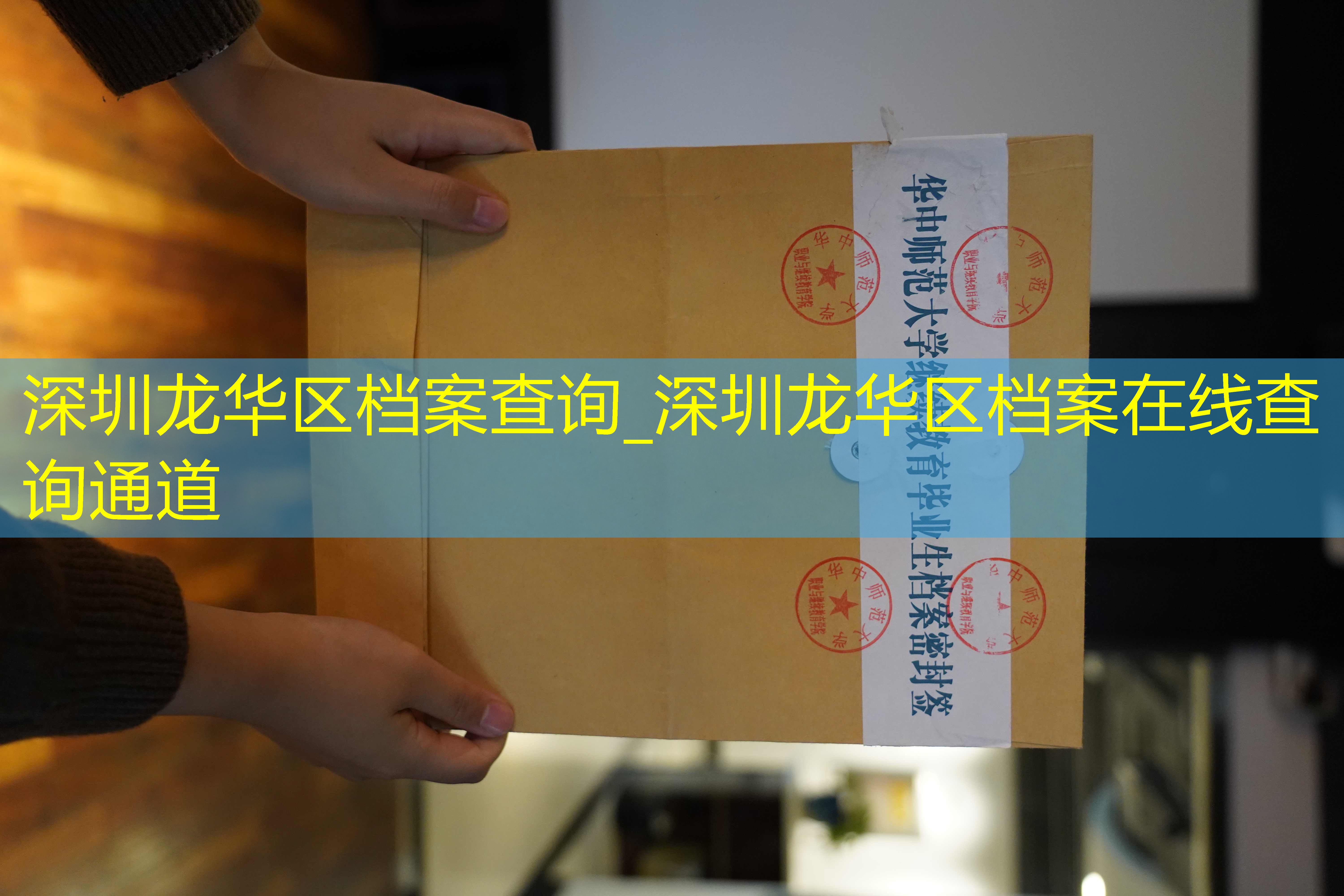 档案查询