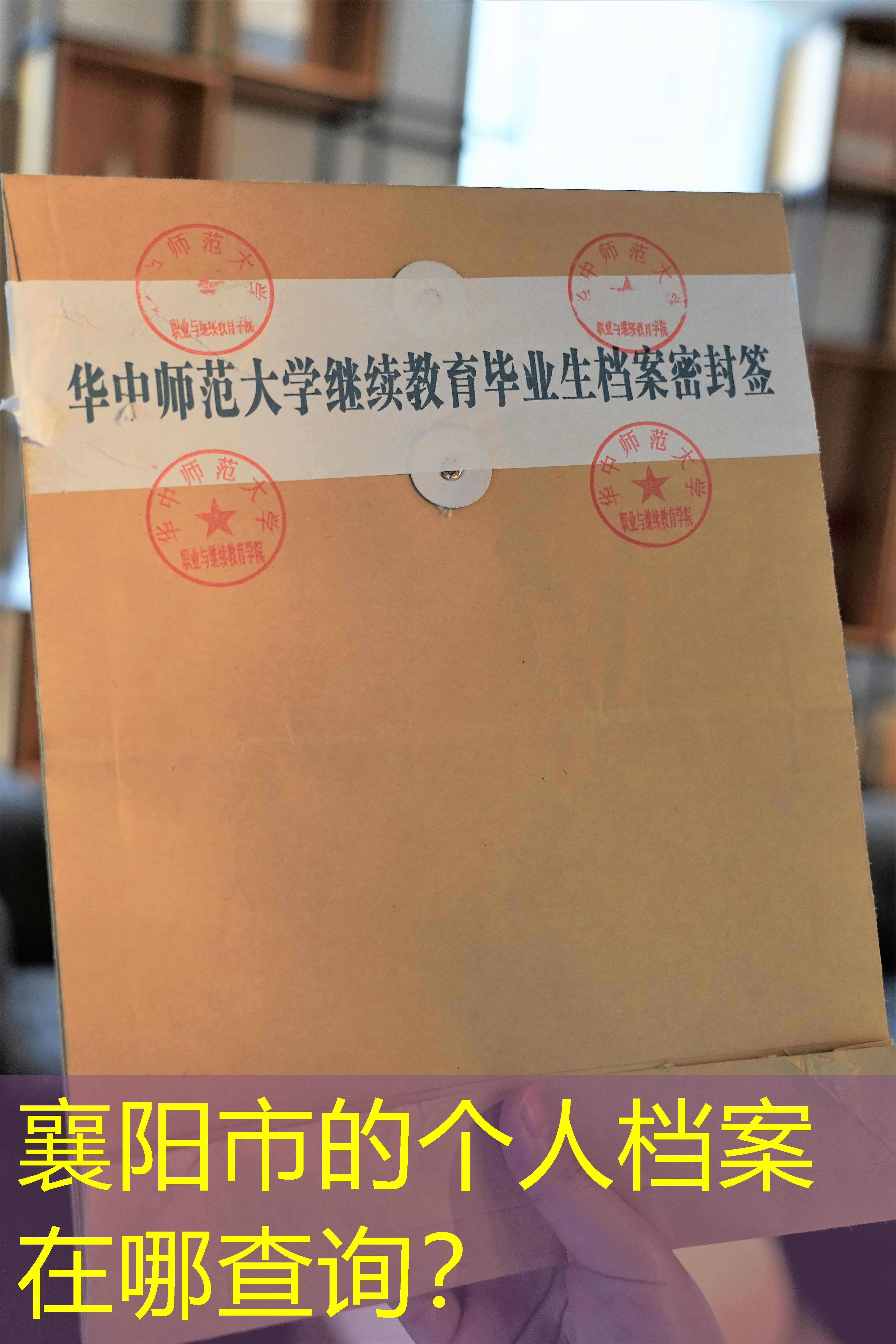 档案查询