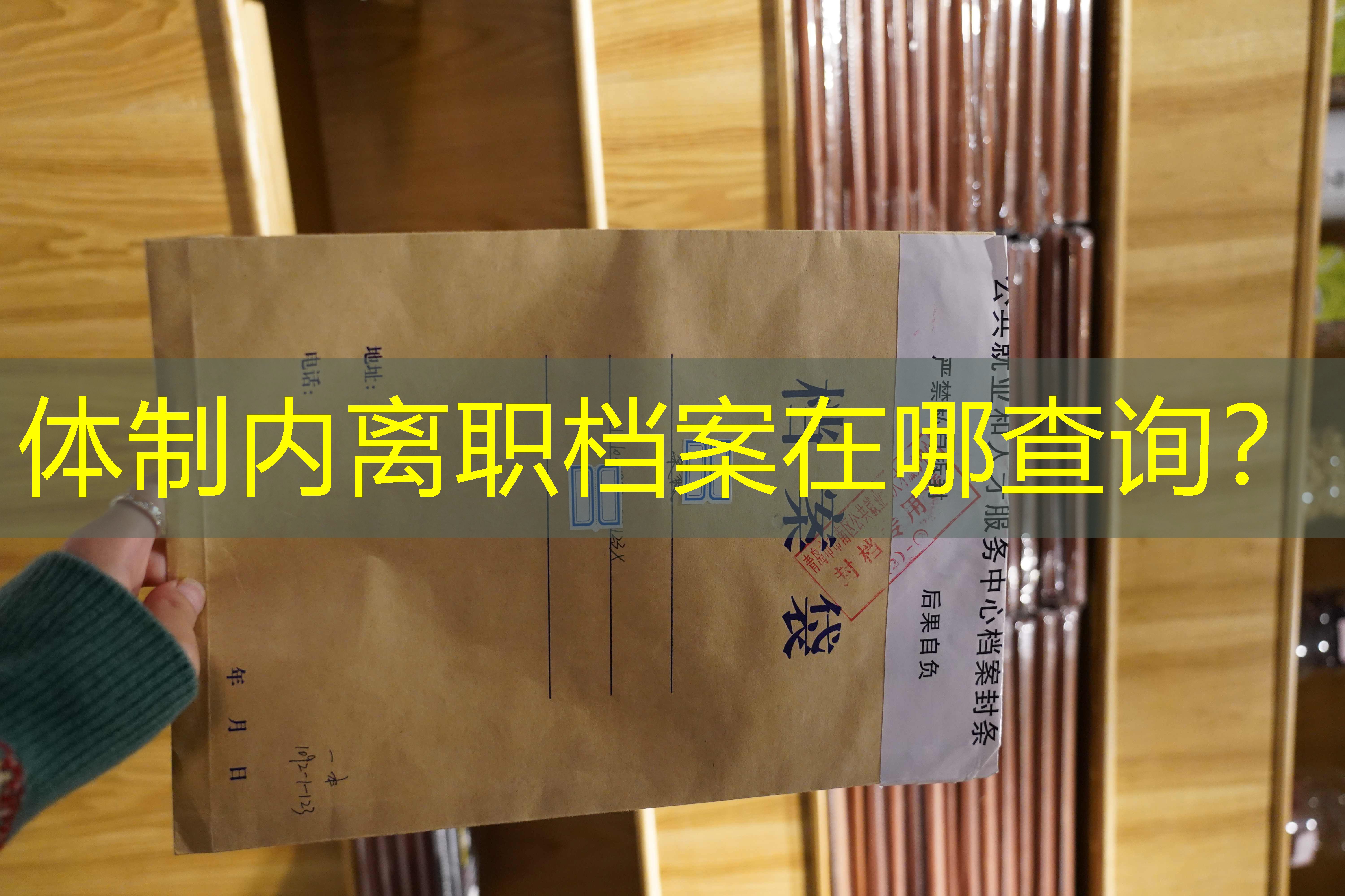 档案查询