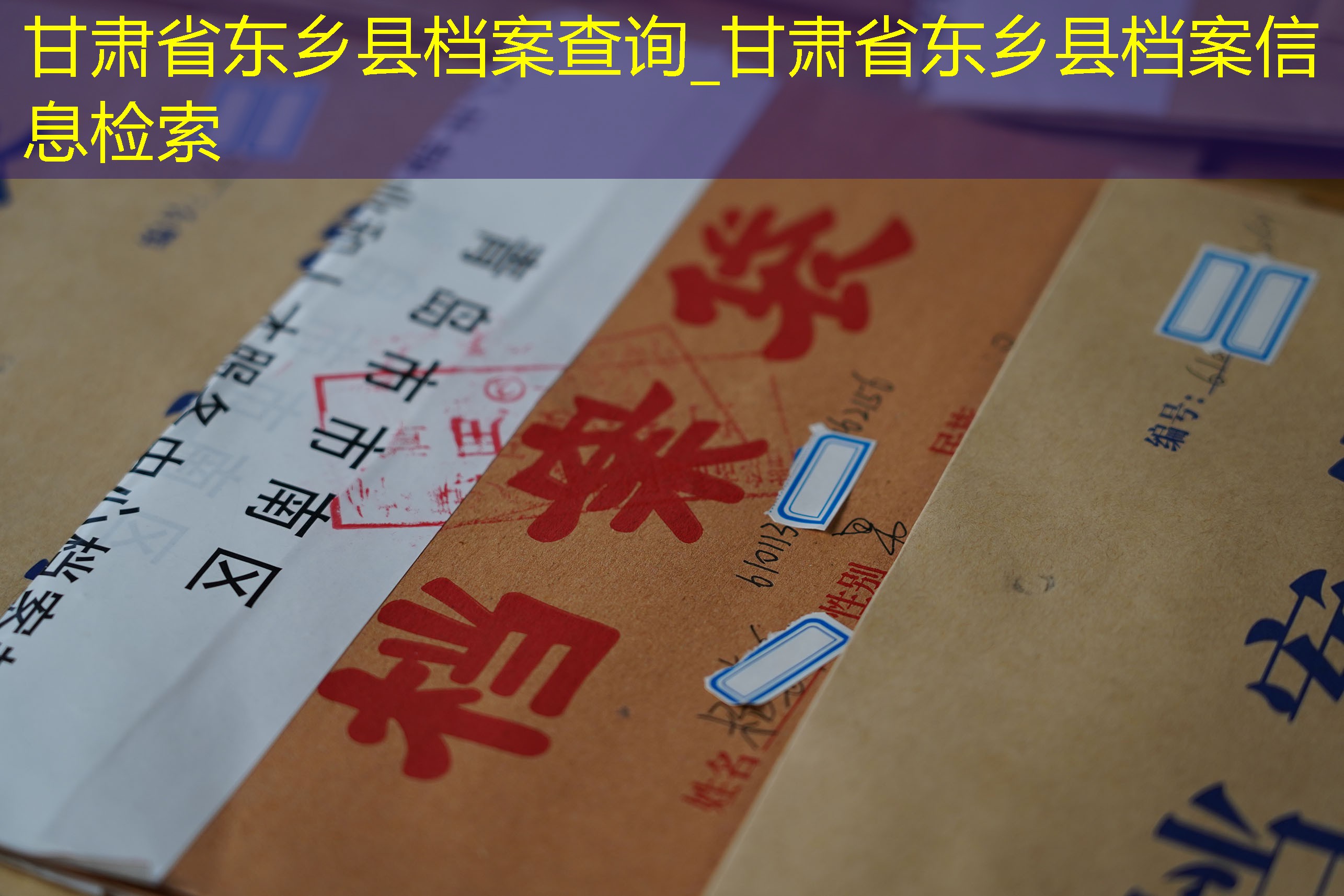 档案查询