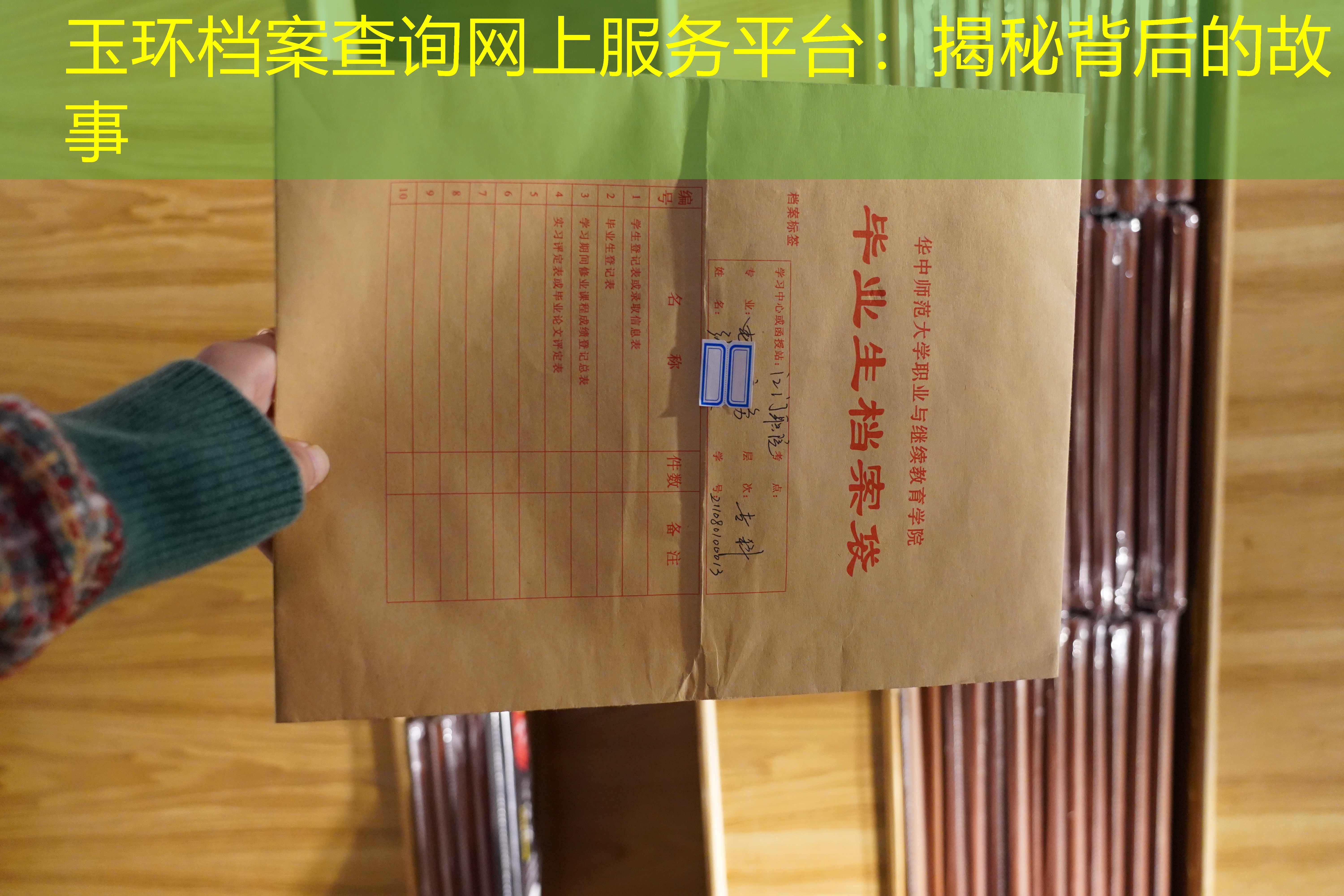 档案查询
