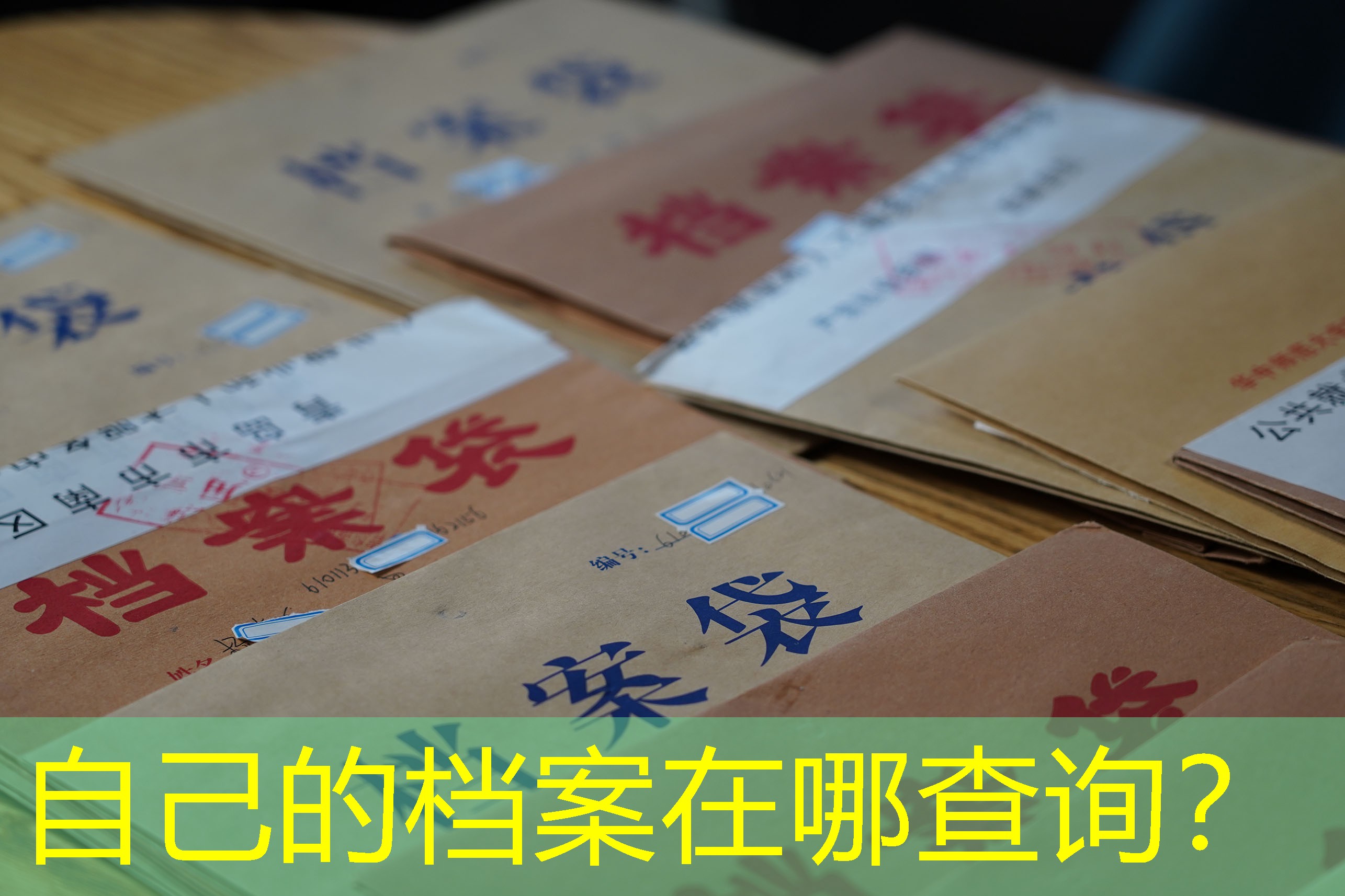 档案查询