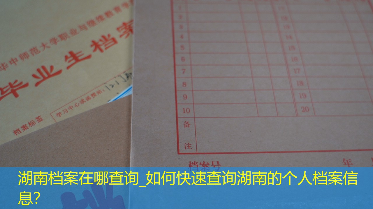 档案查询