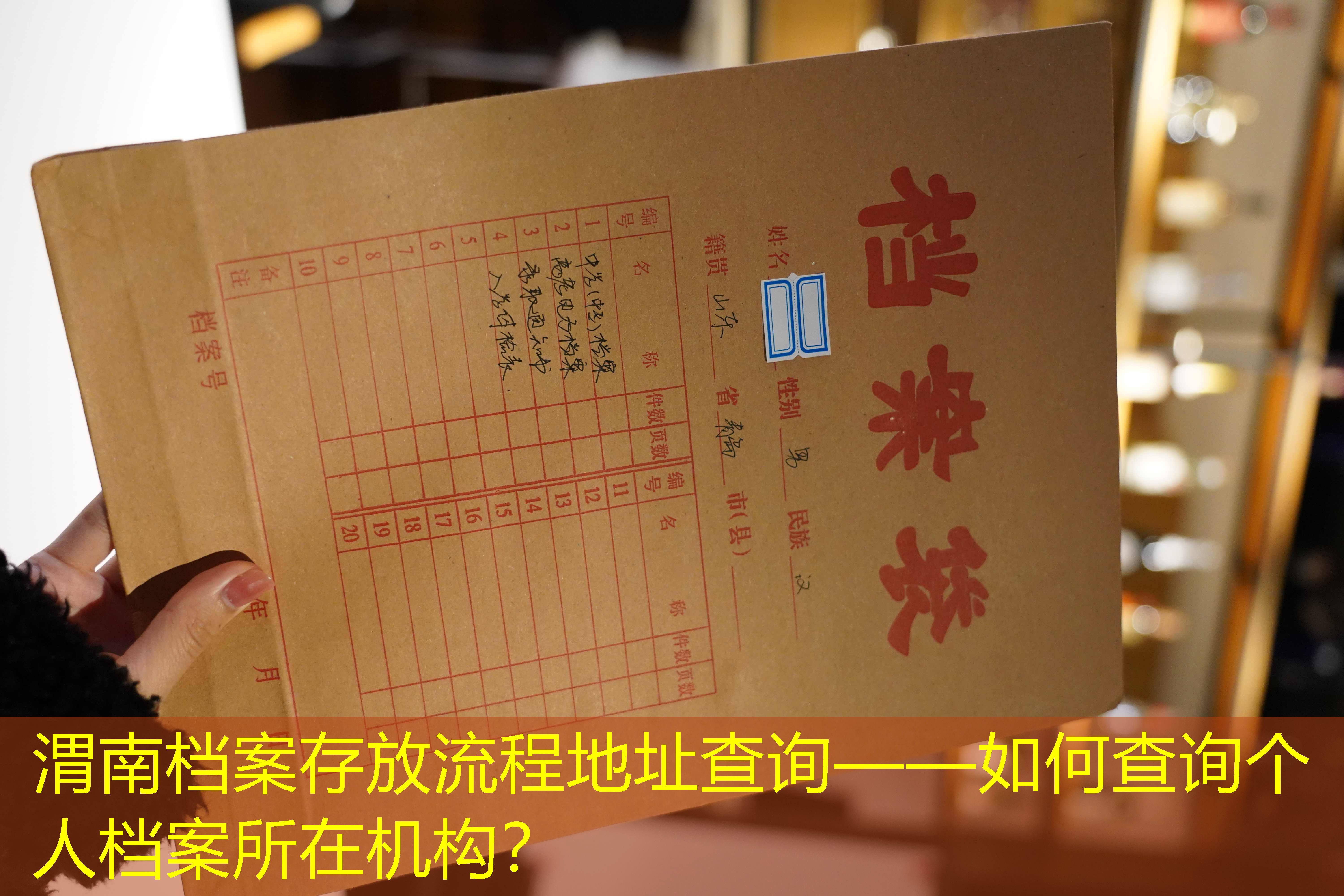 档案查询