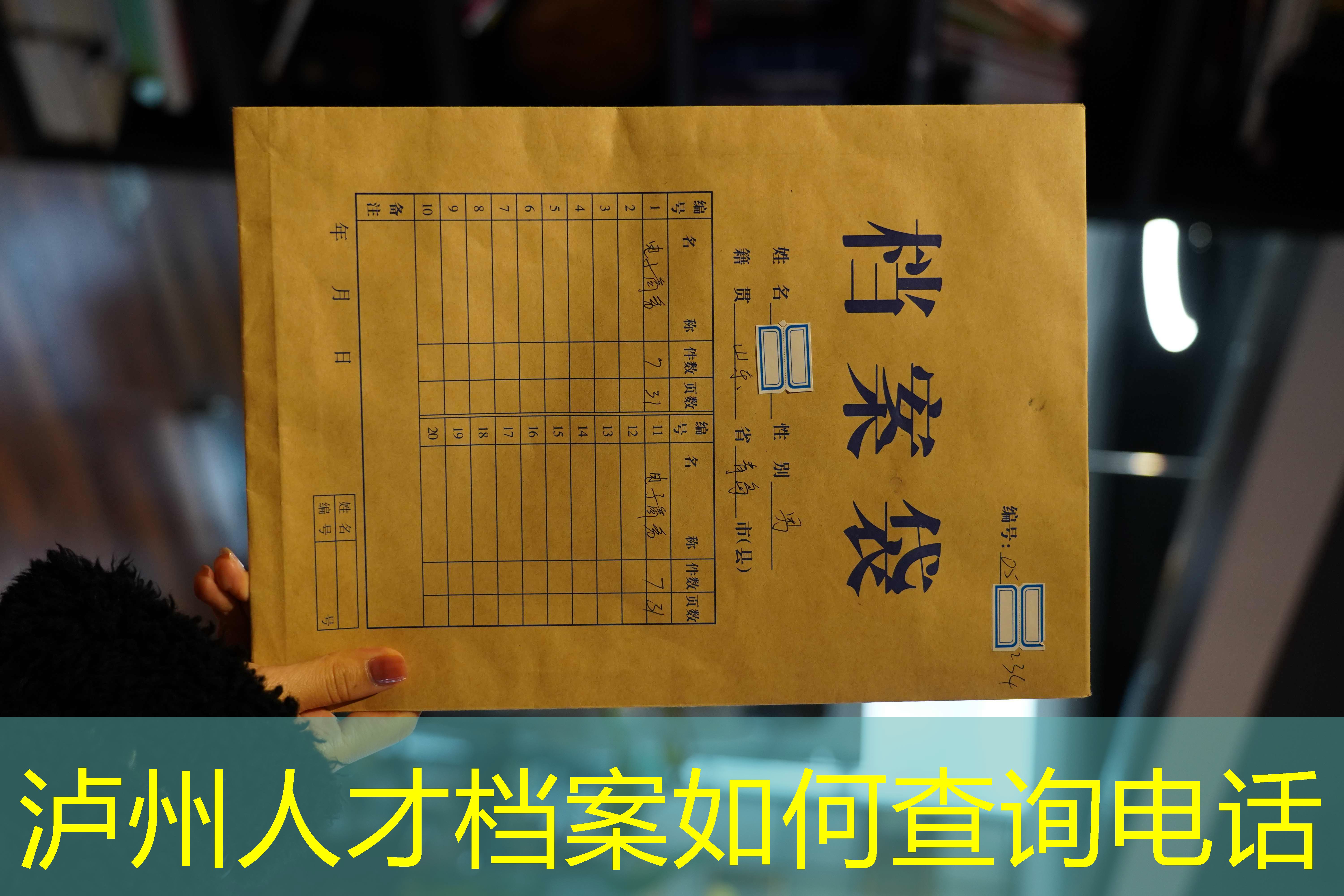 档案查询