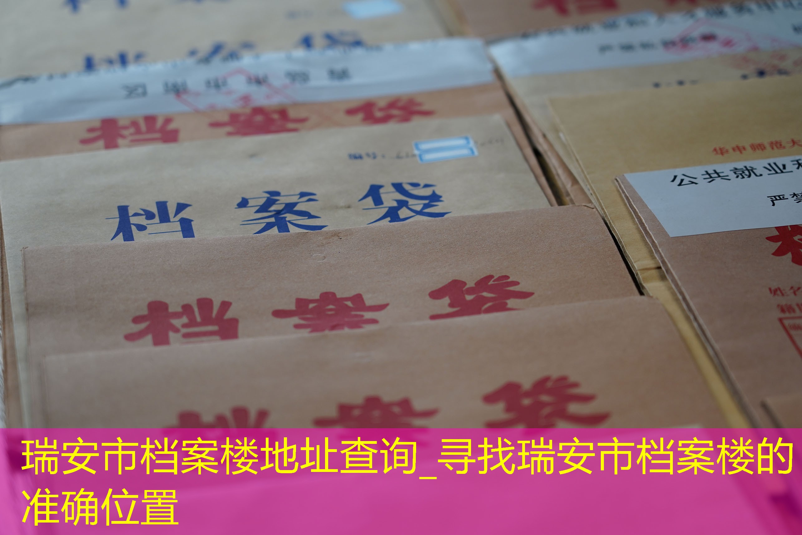 档案查询