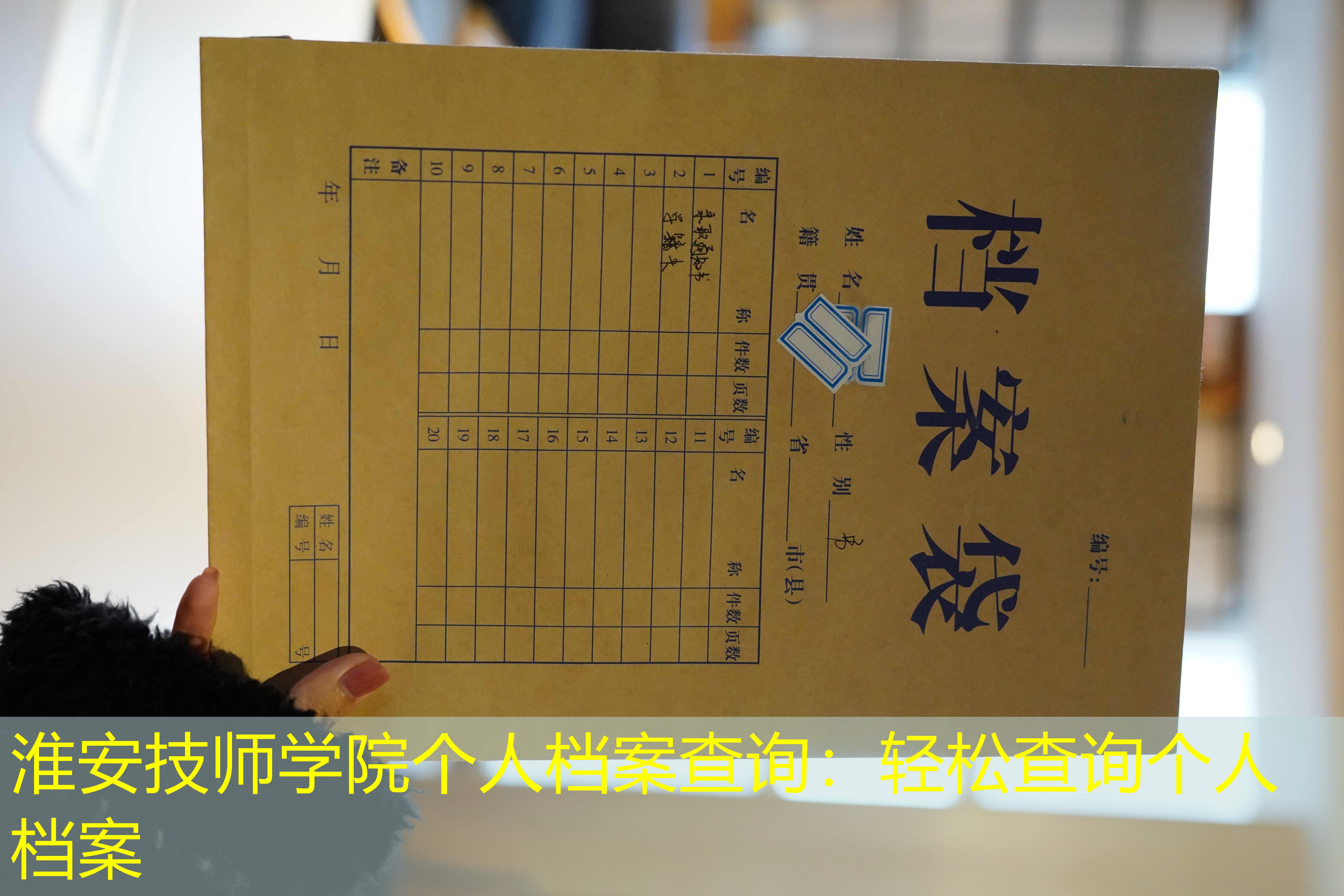 档案查询