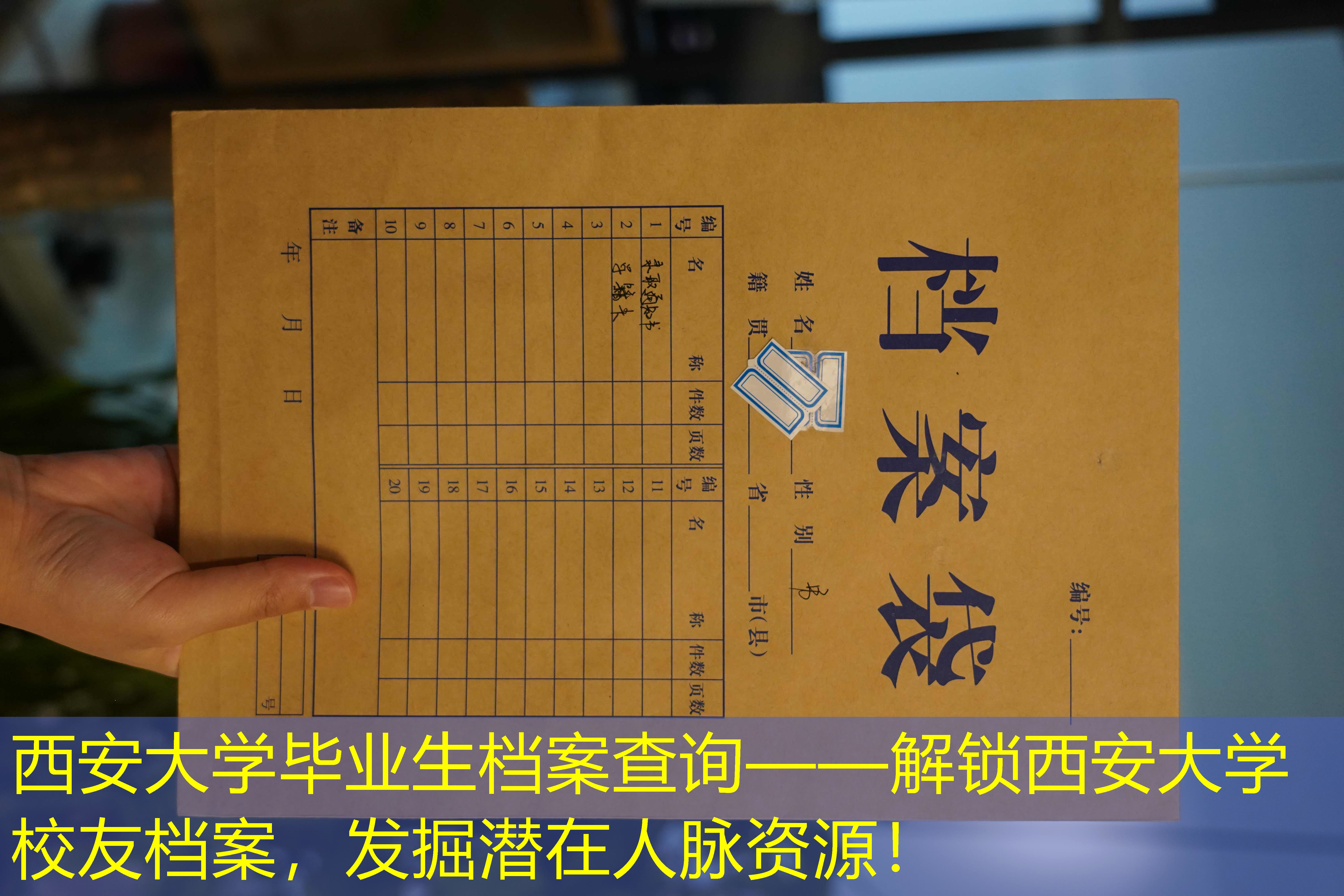 档案查询