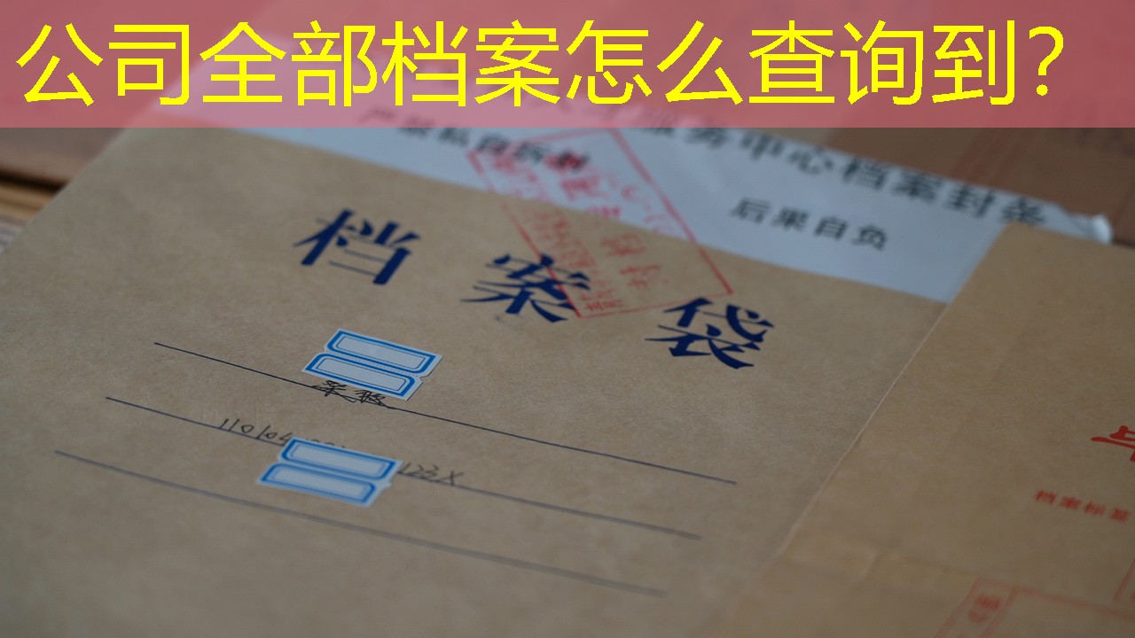 档案查询