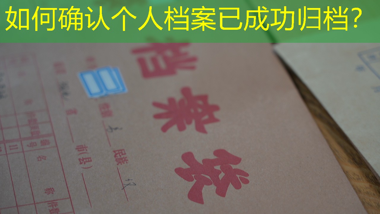 档案查询