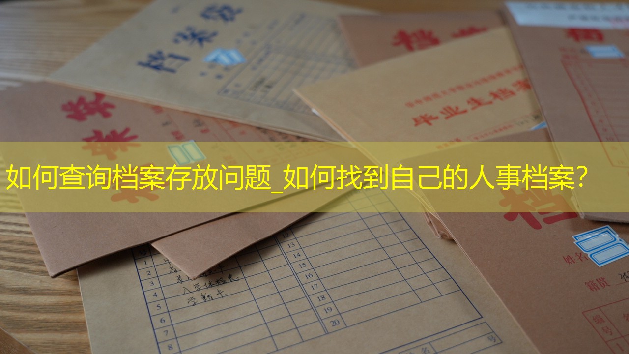 档案查询