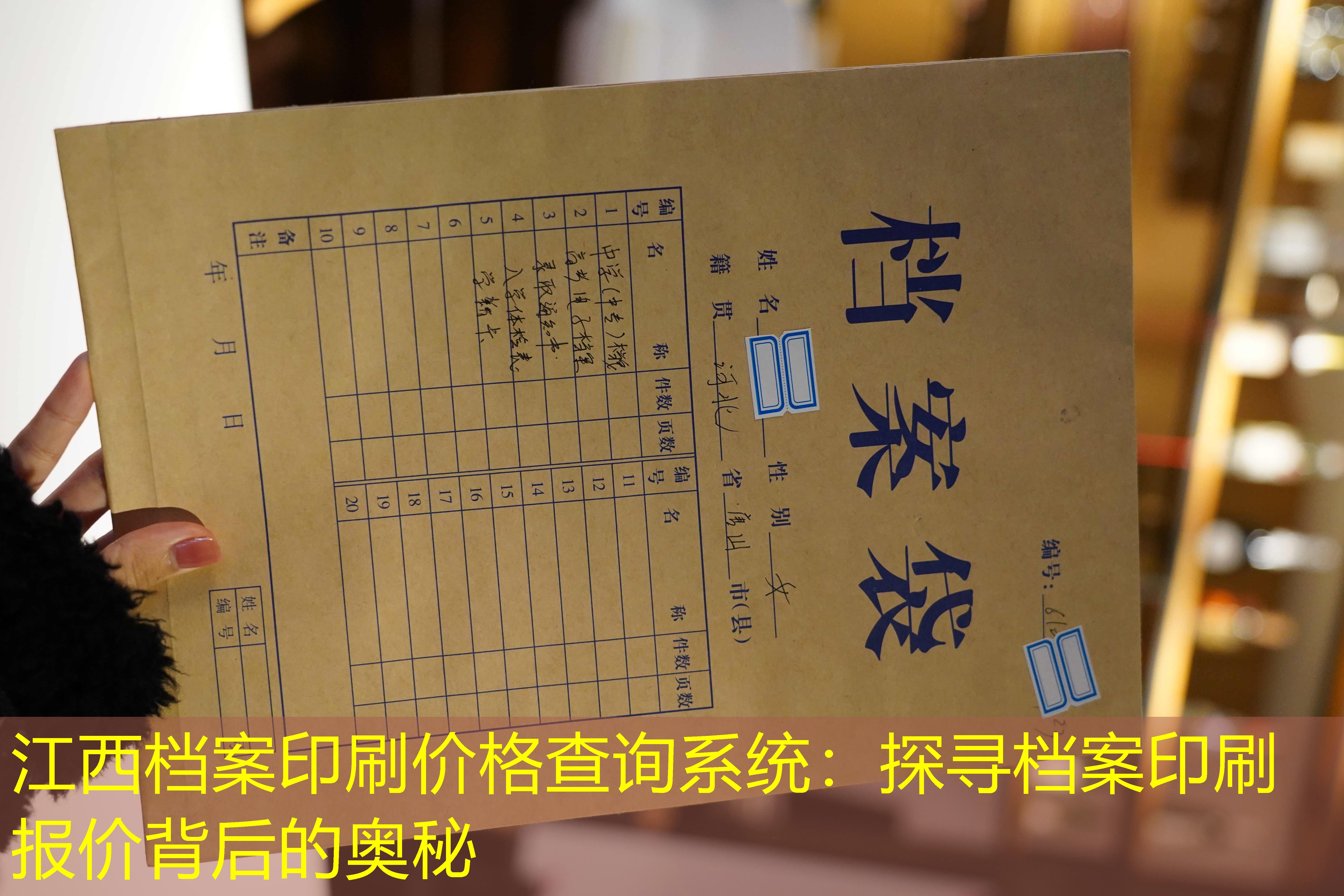 档案查询