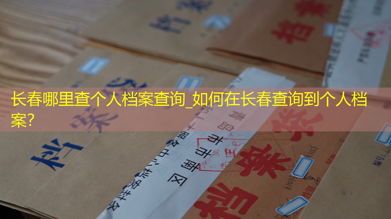 档案查询