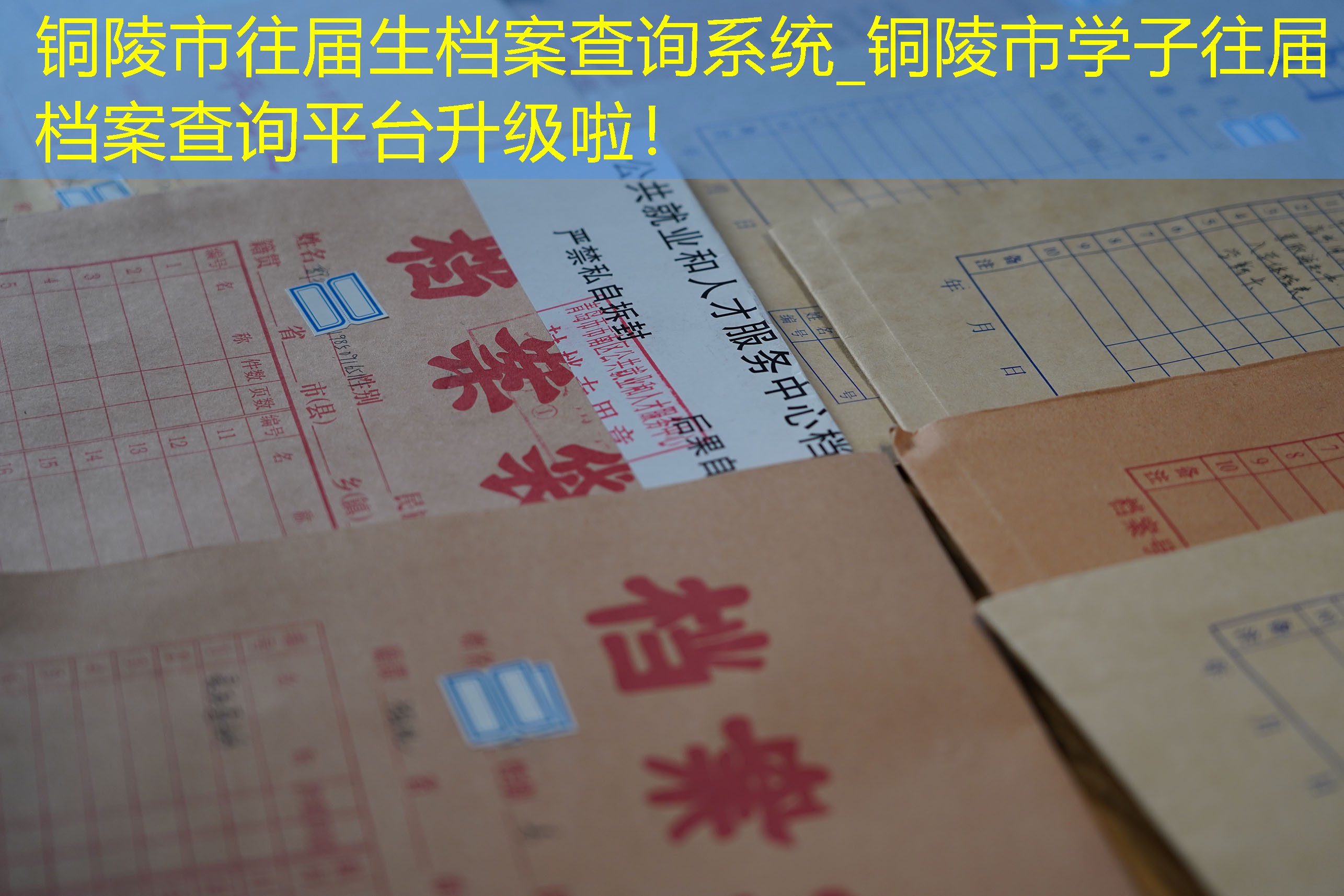 档案查询