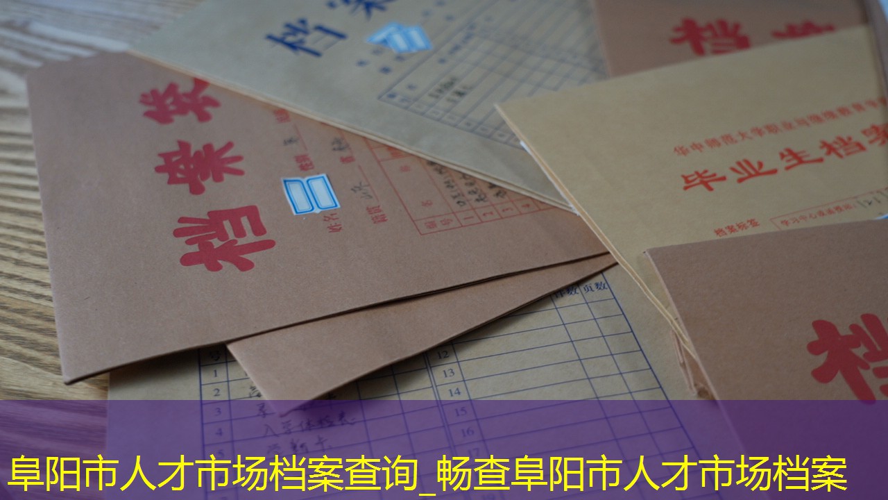 档案查询
