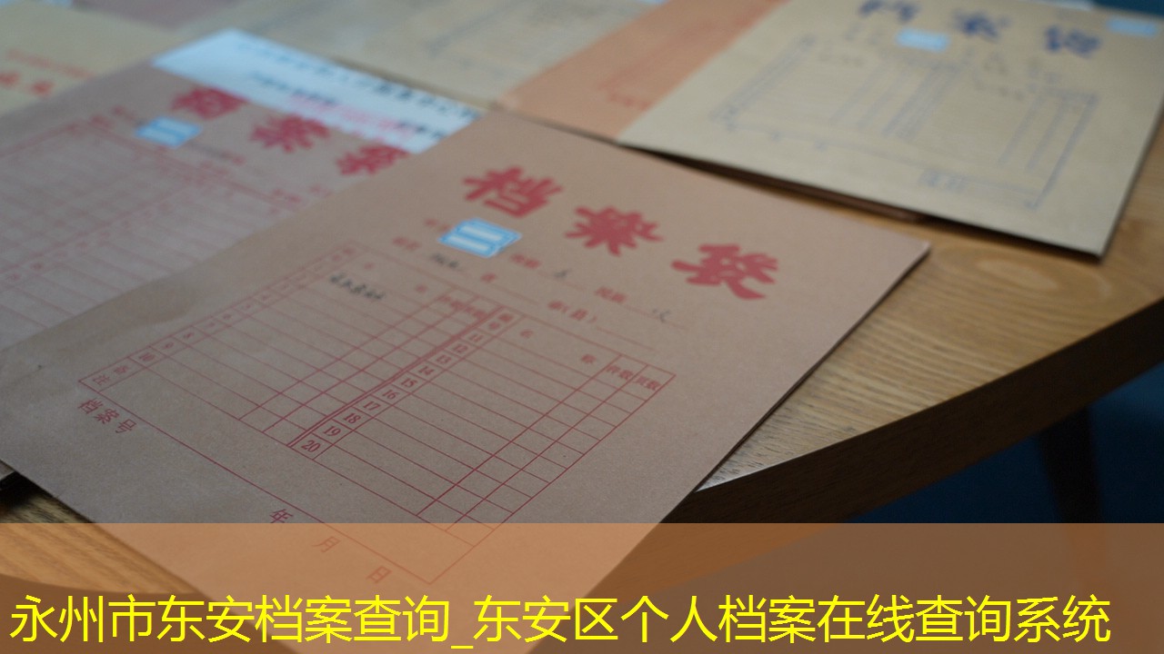 档案查询