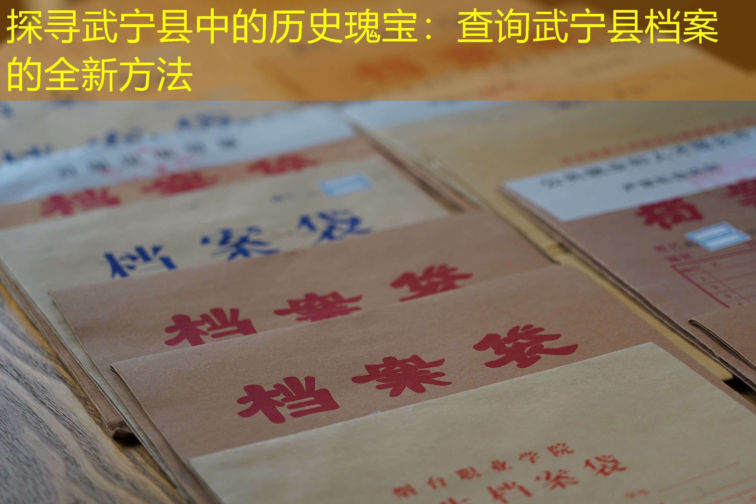 档案查询