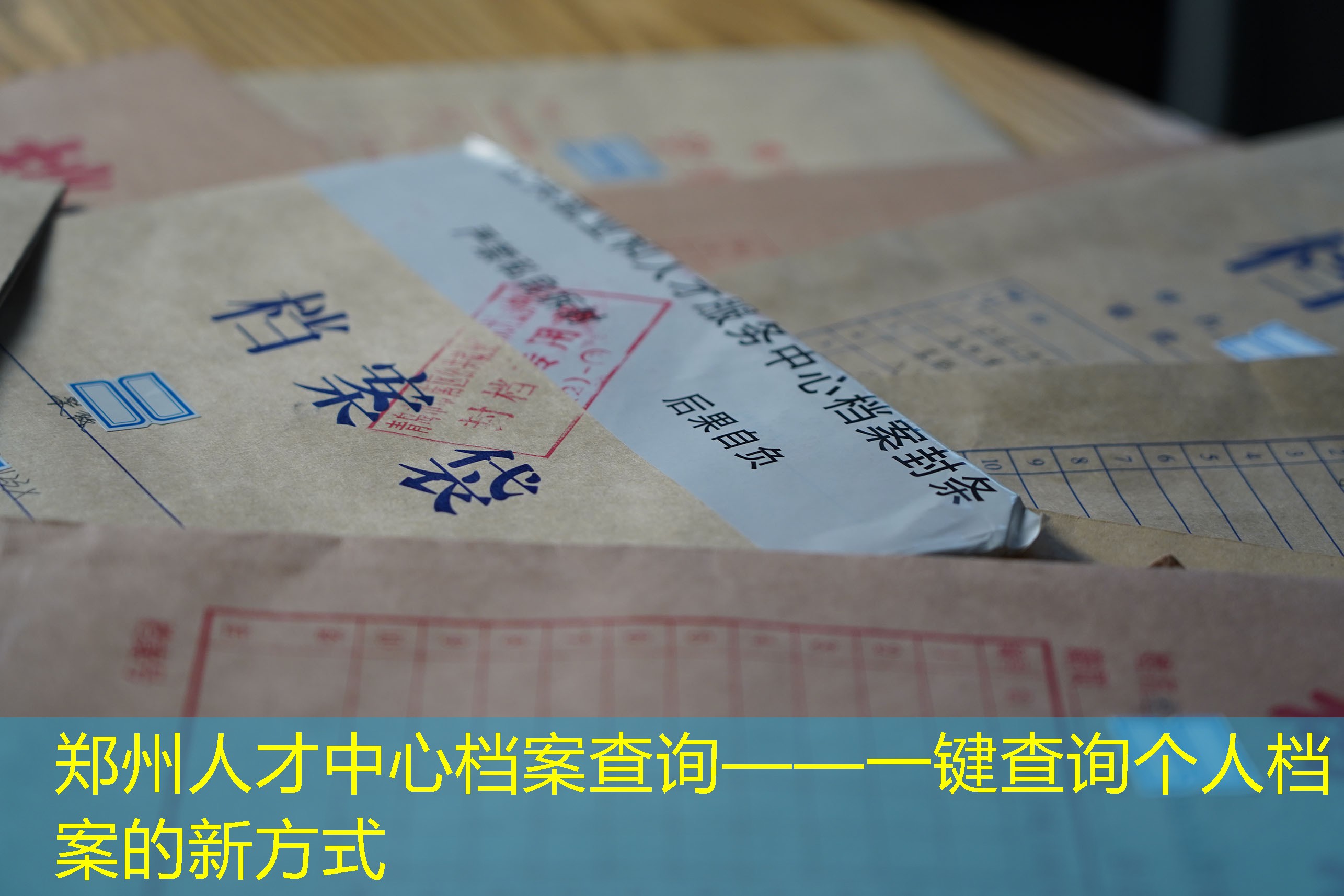 档案查询