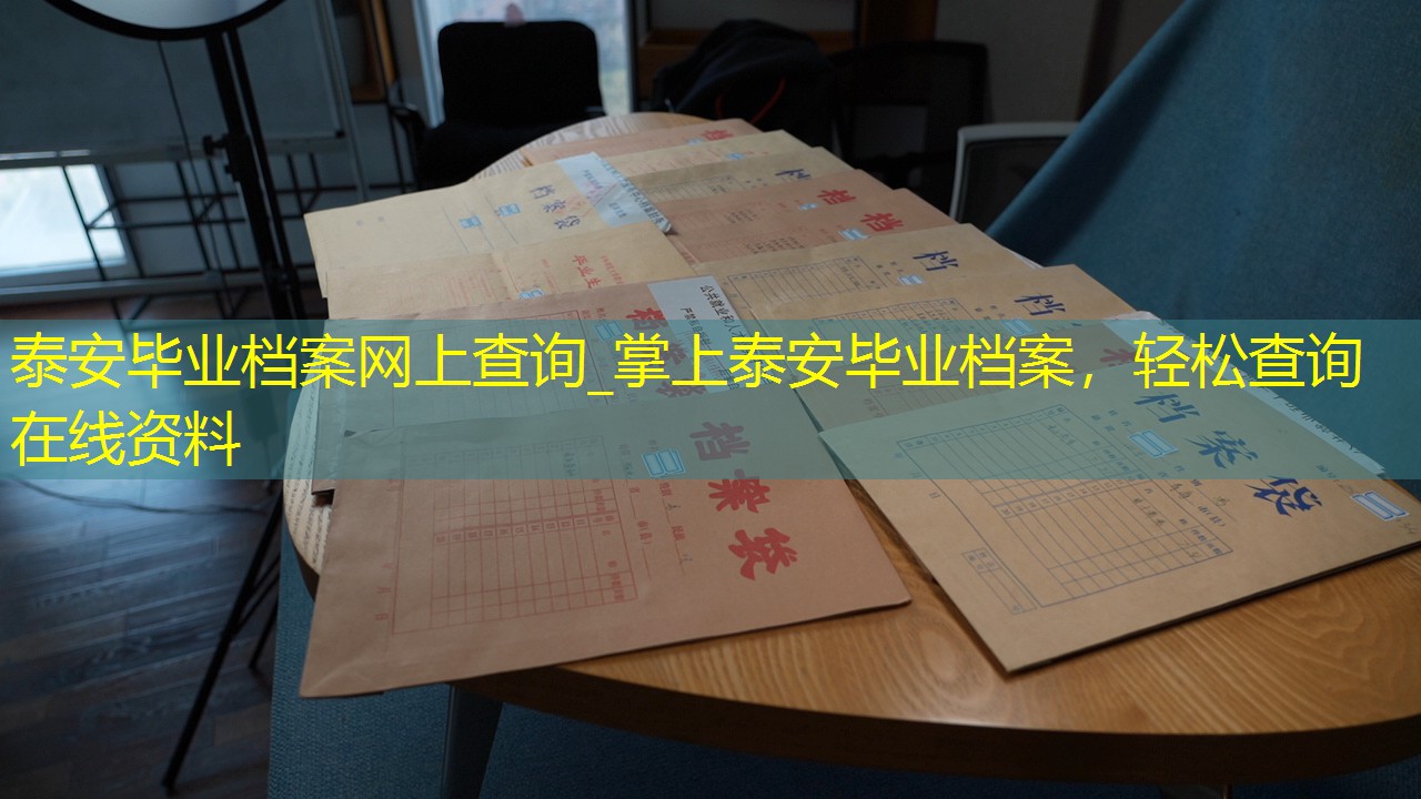 档案查询