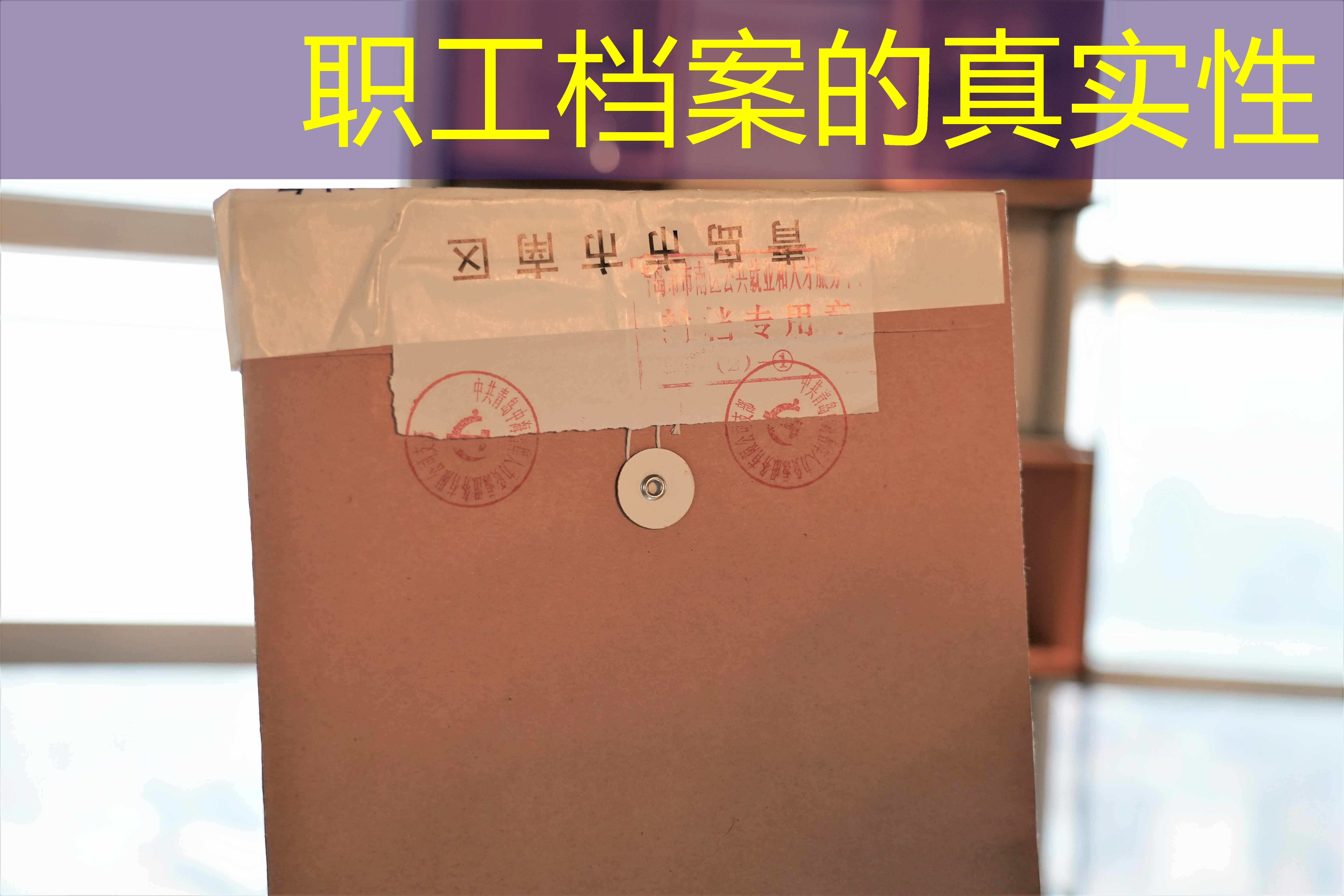 档案查询