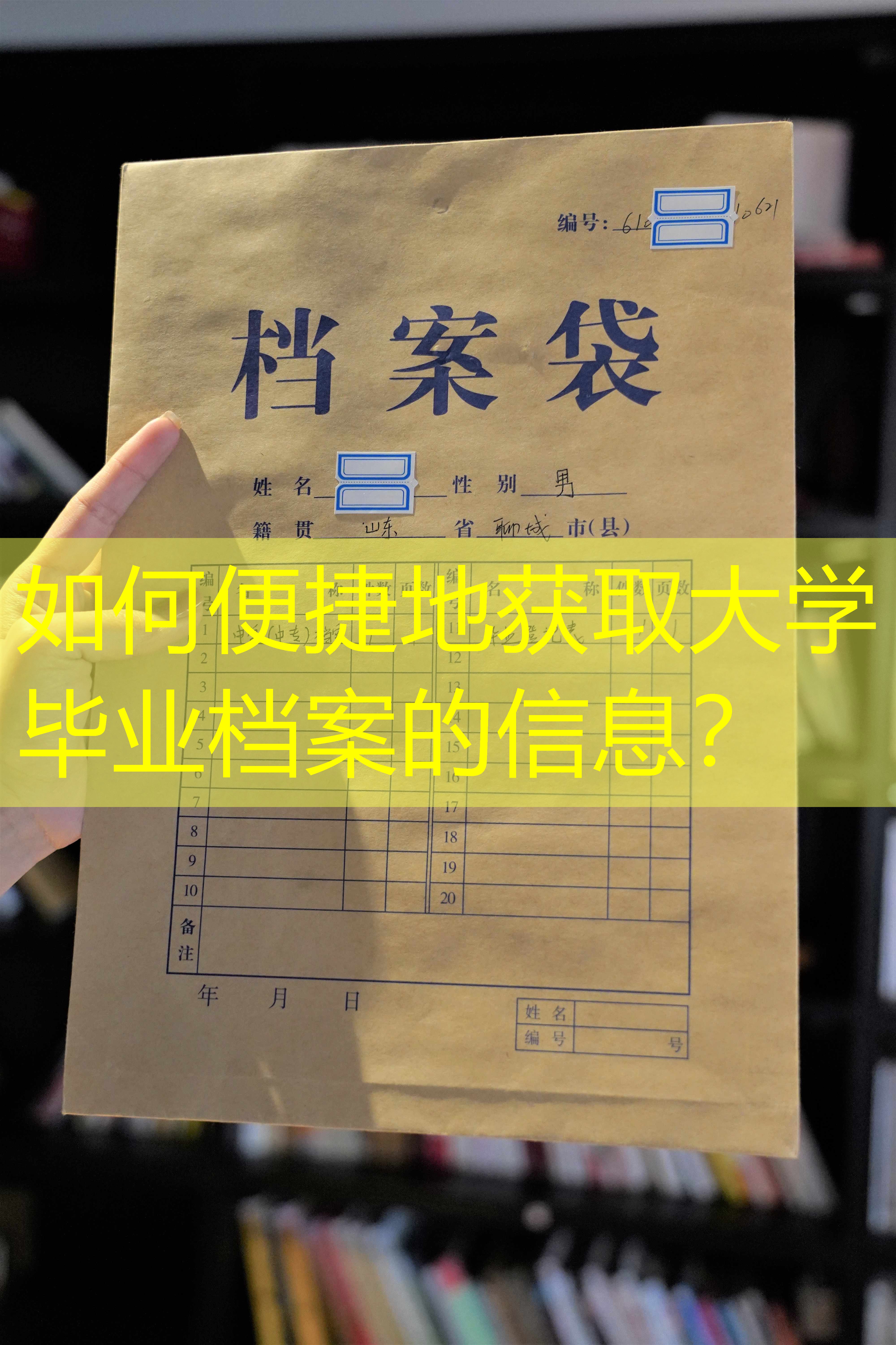 档案查询
