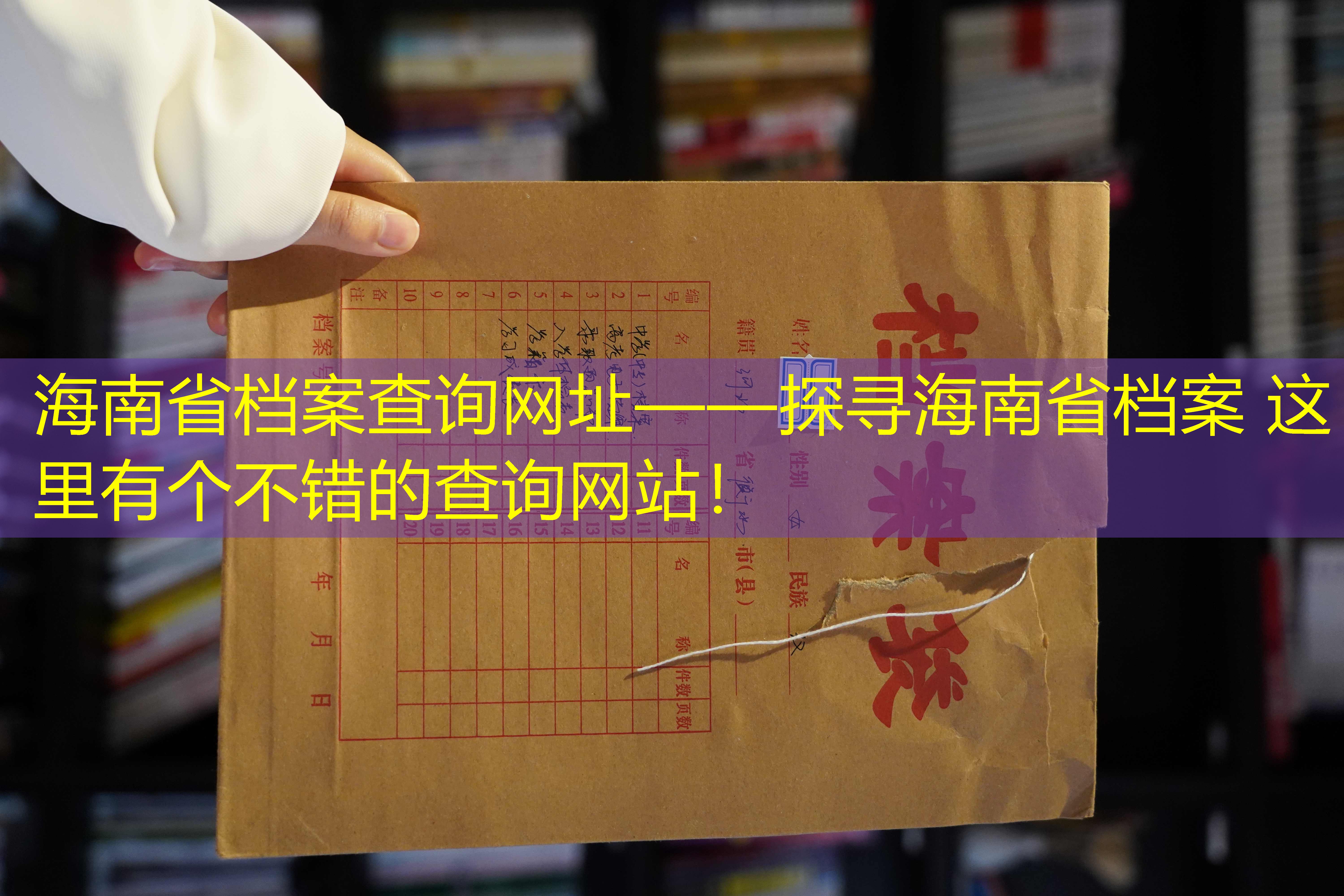 档案查询