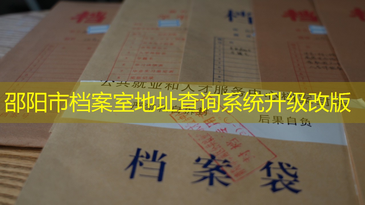 档案查询