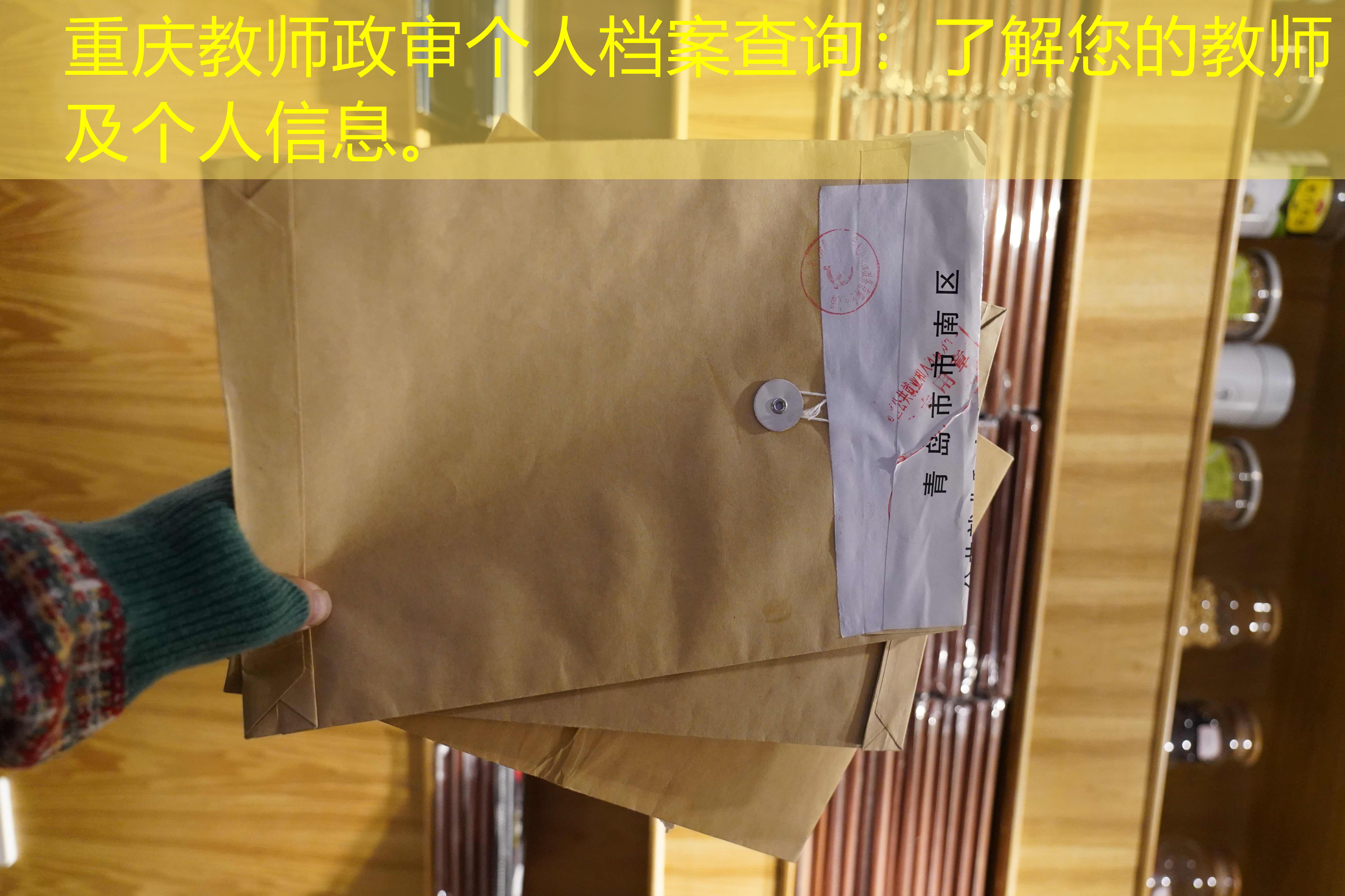 档案查询