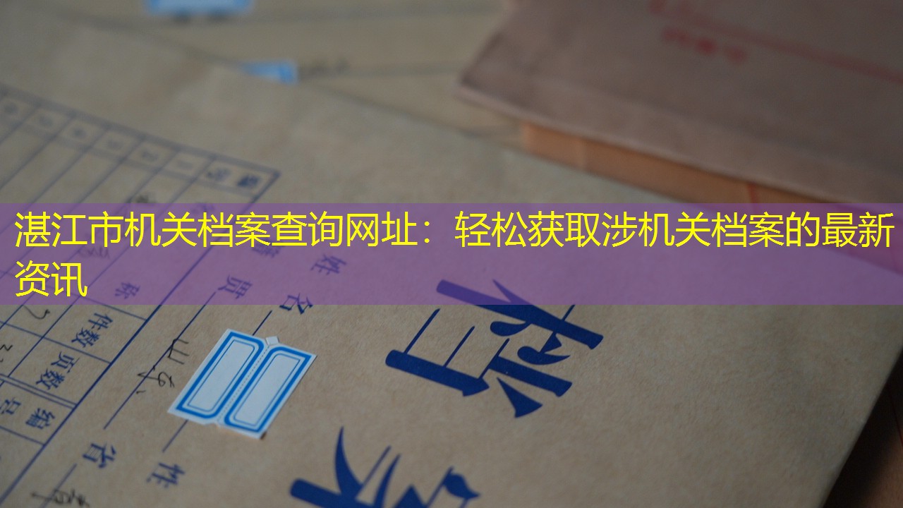 档案查询
