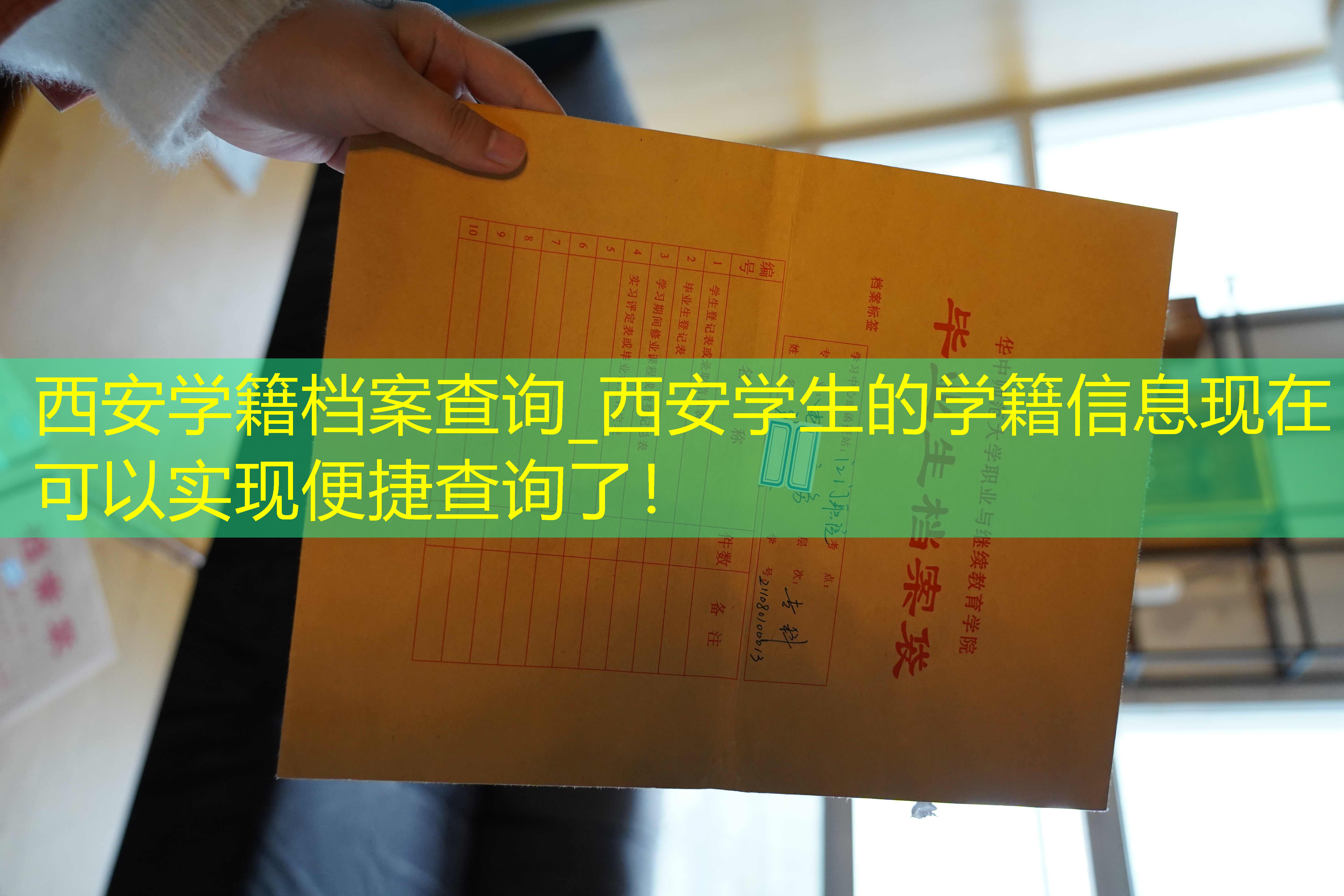 档案查询