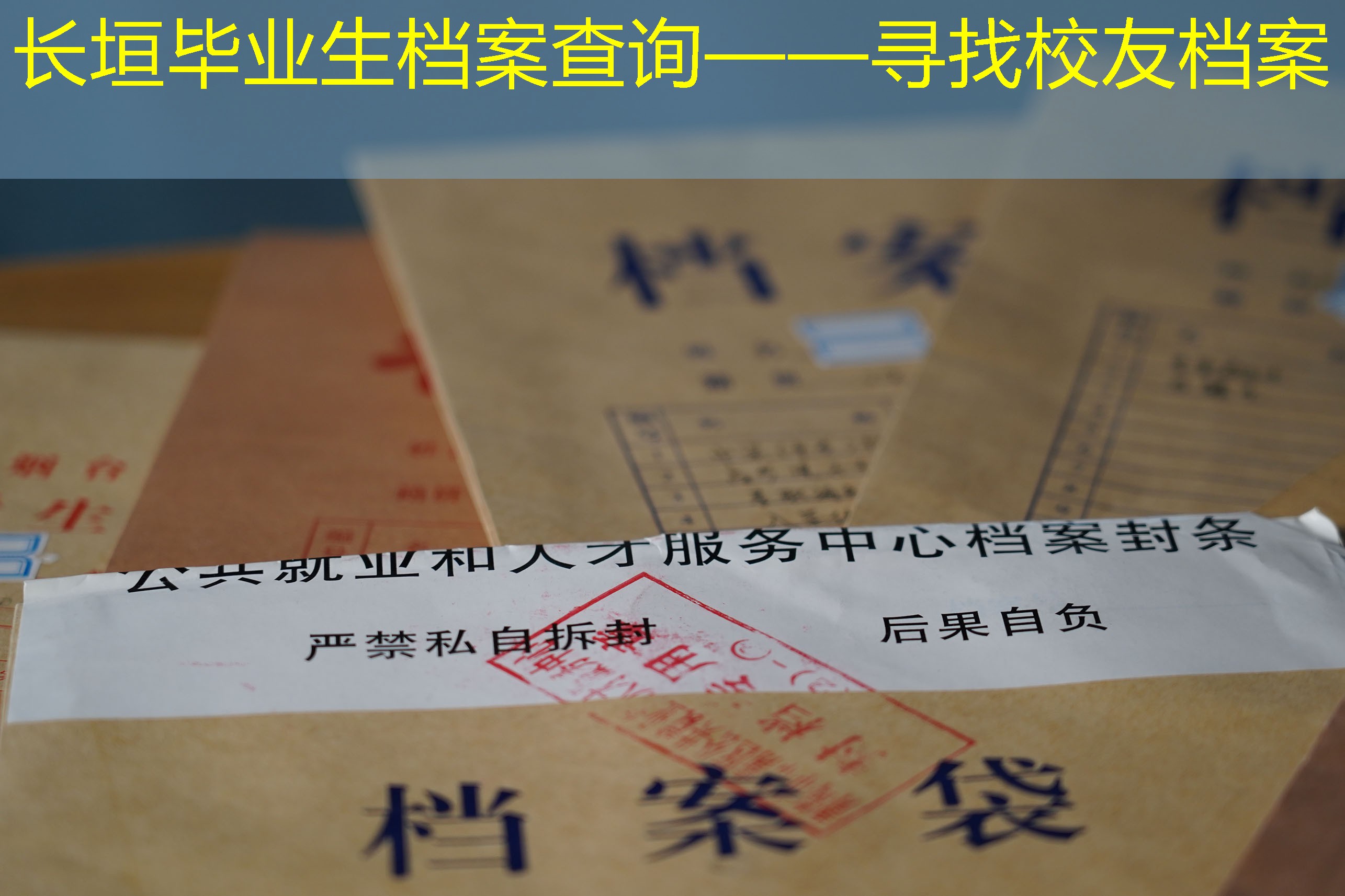 档案查询