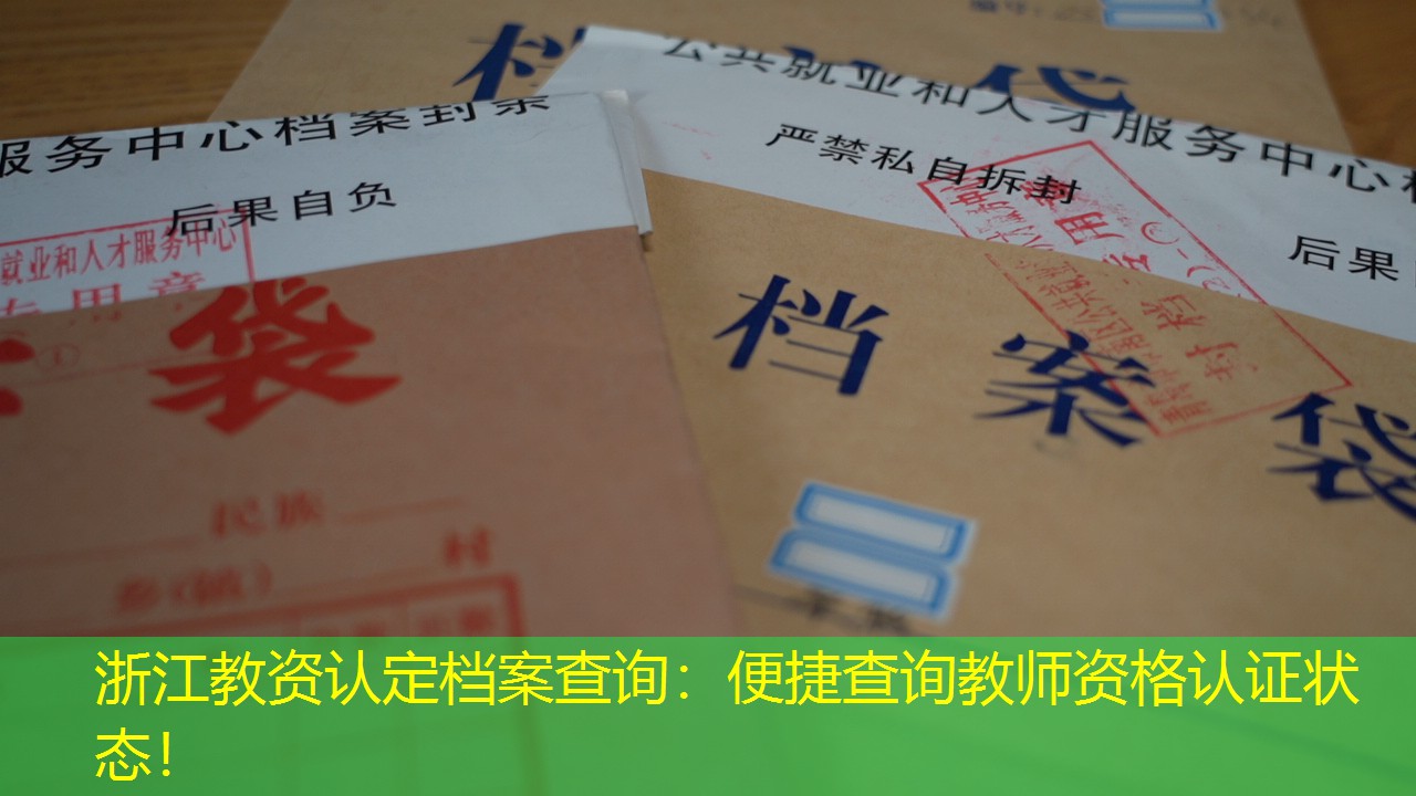 档案查询