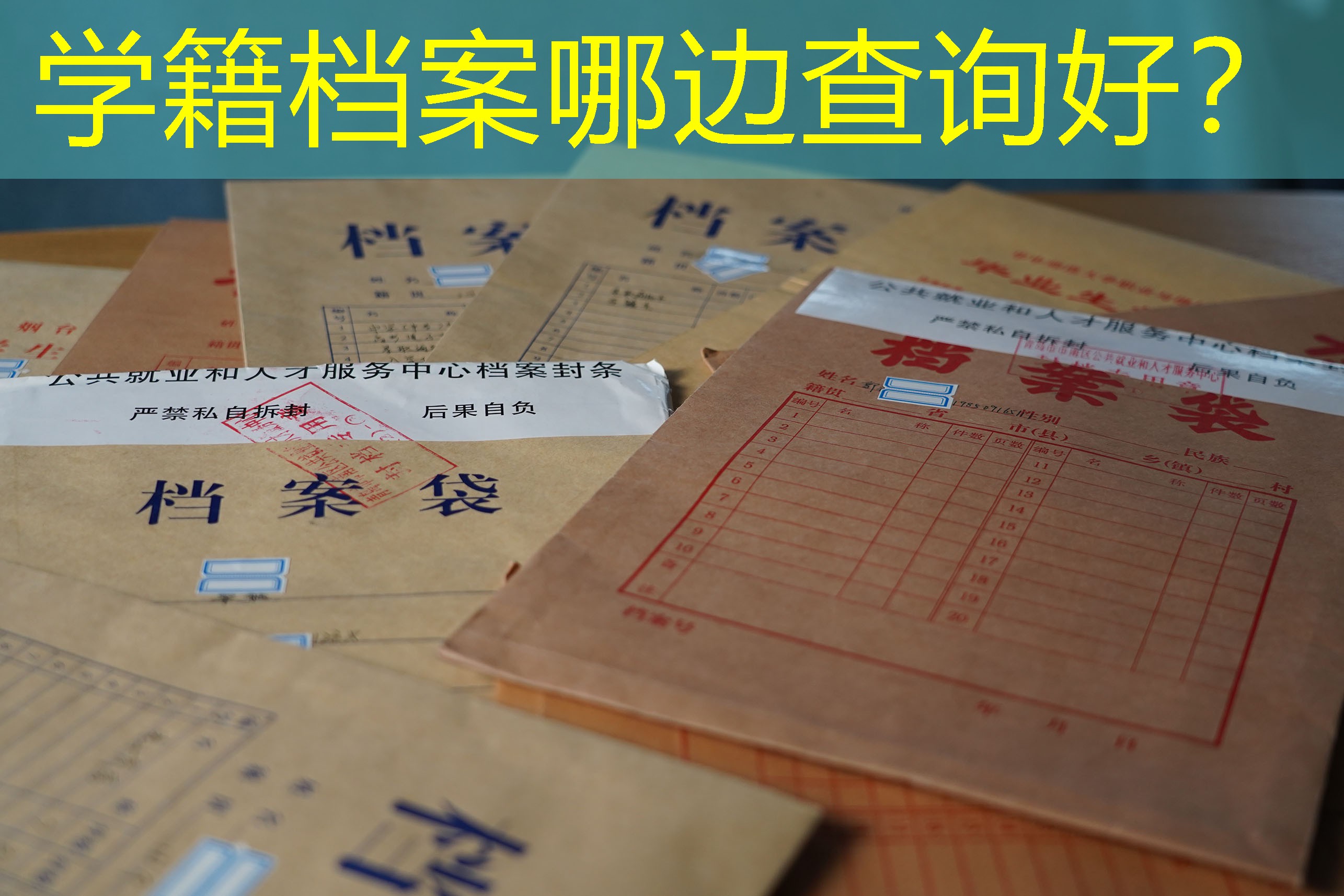 档案查询
