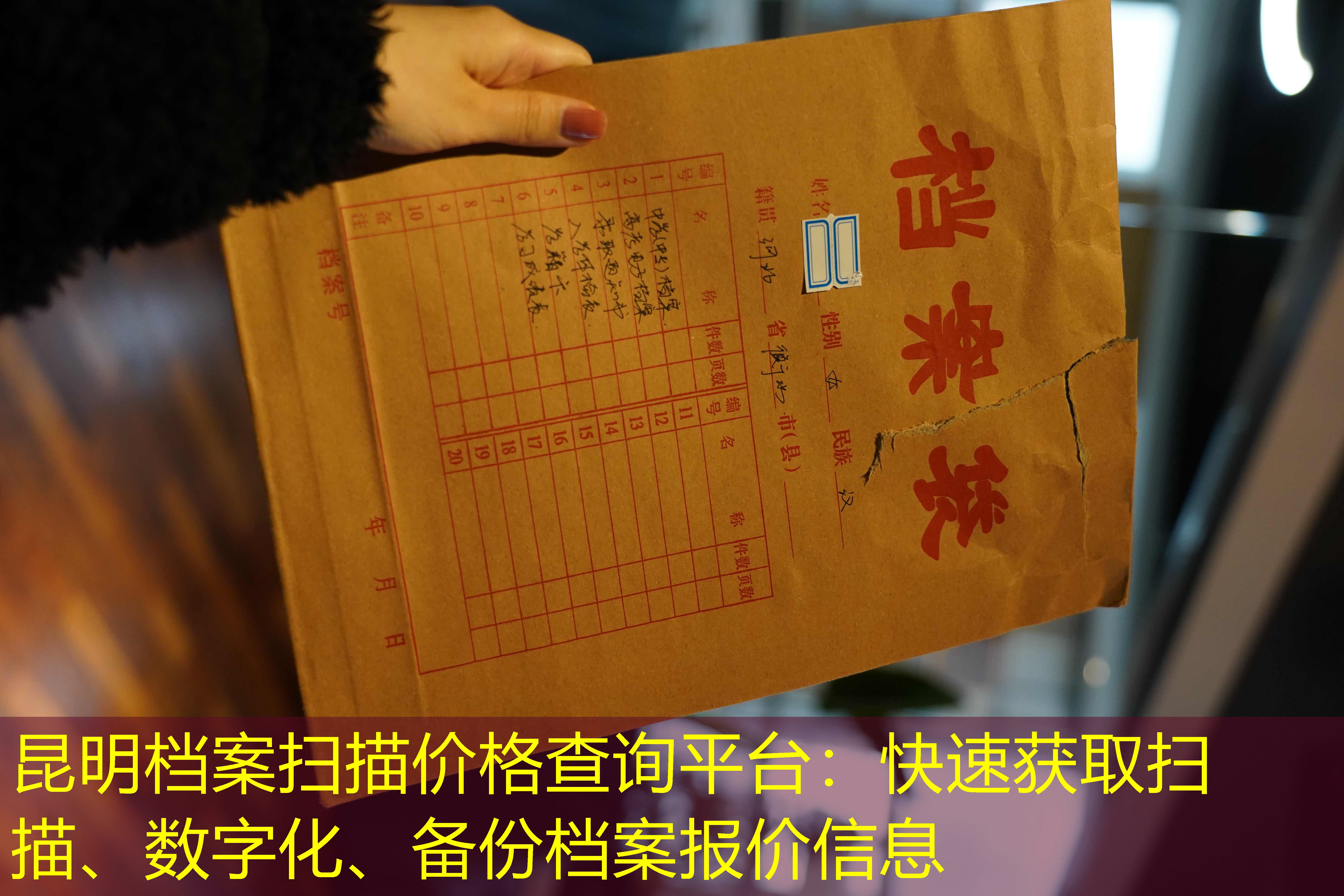 档案查询