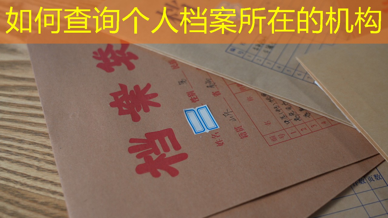 档案查询